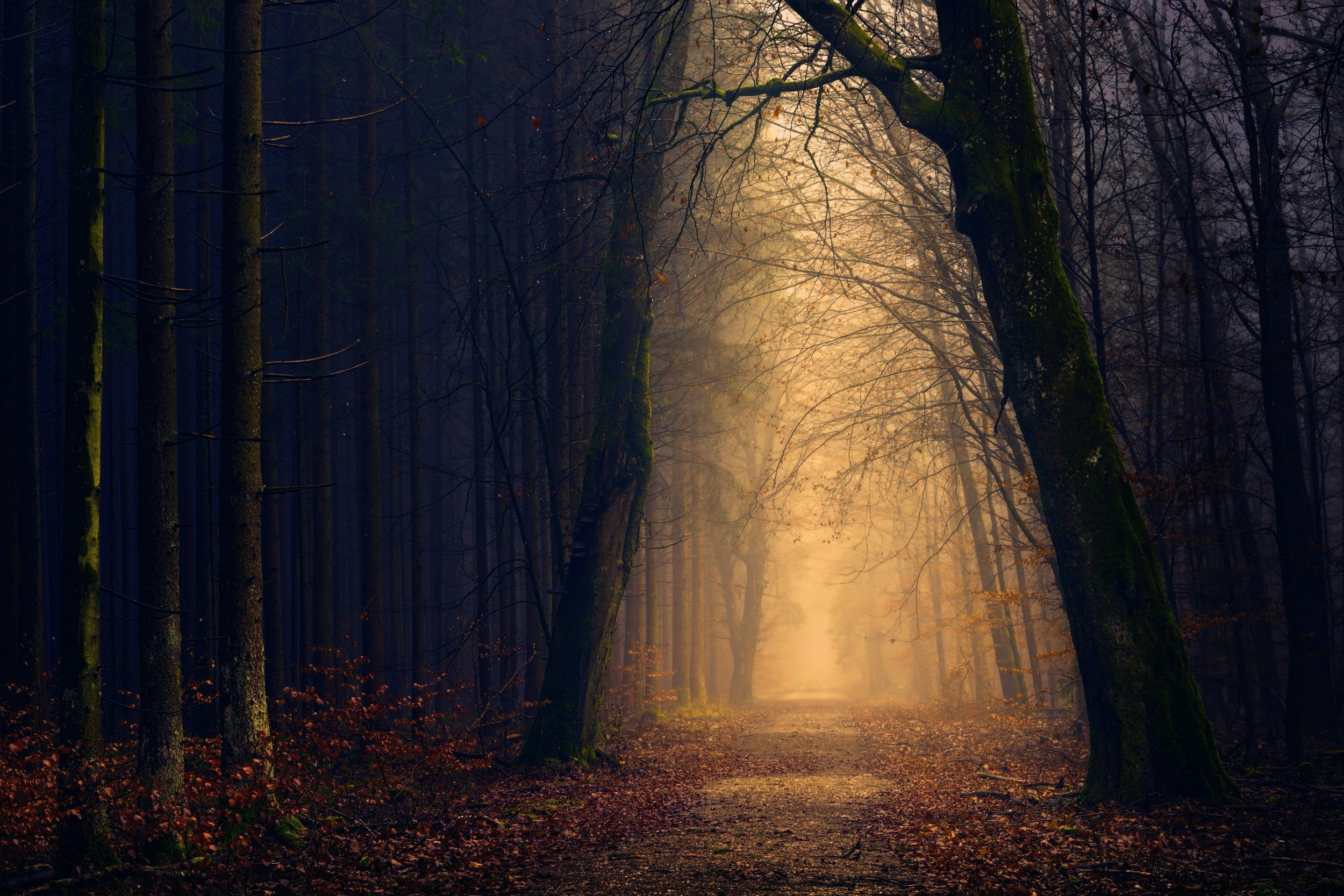 The Solitary Path and the Ever-Present Hand: Why You're Never Truly Alone