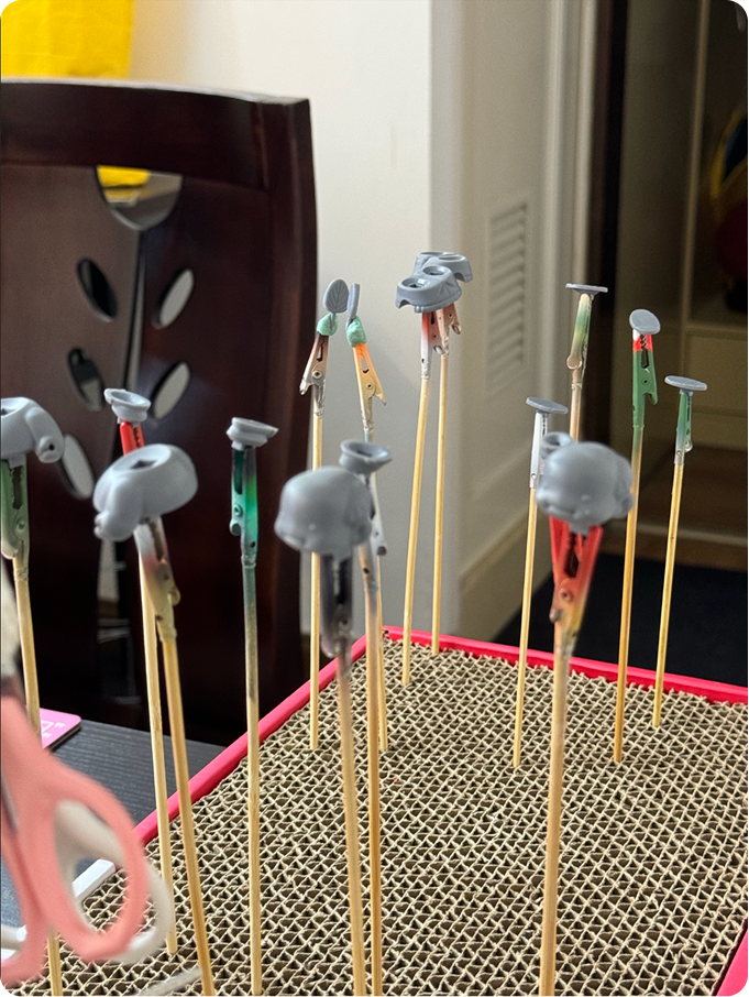 截屏2025-11-19 20.55.12.png