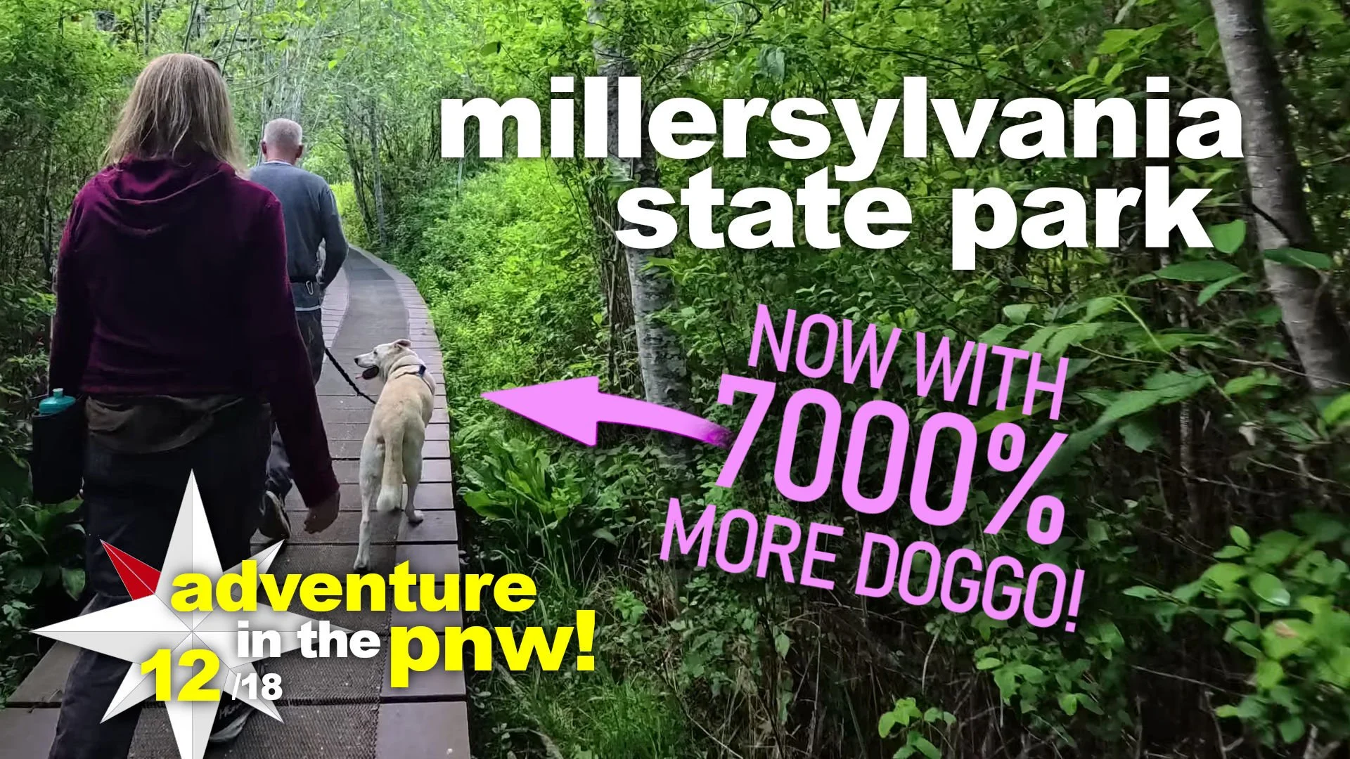pnw adventure #12