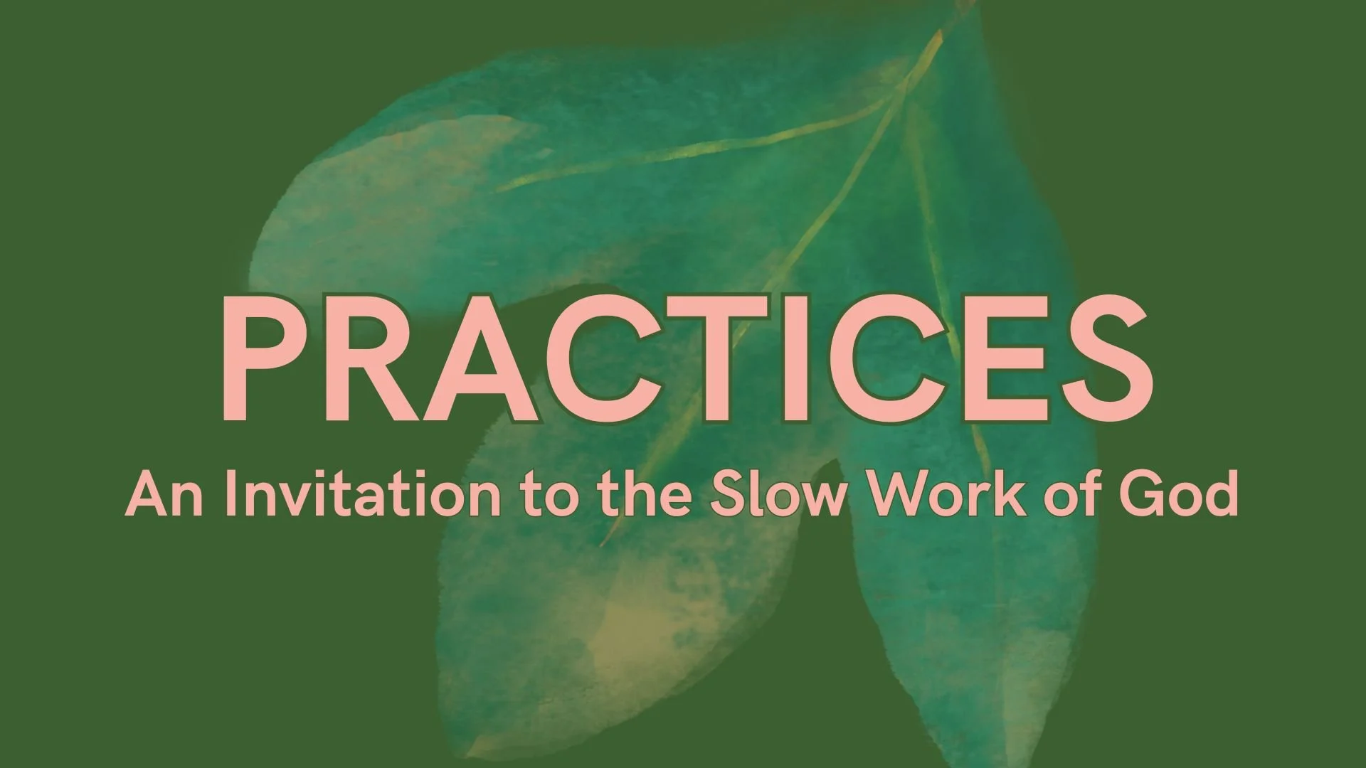 Formation Practices: Scripture Reading