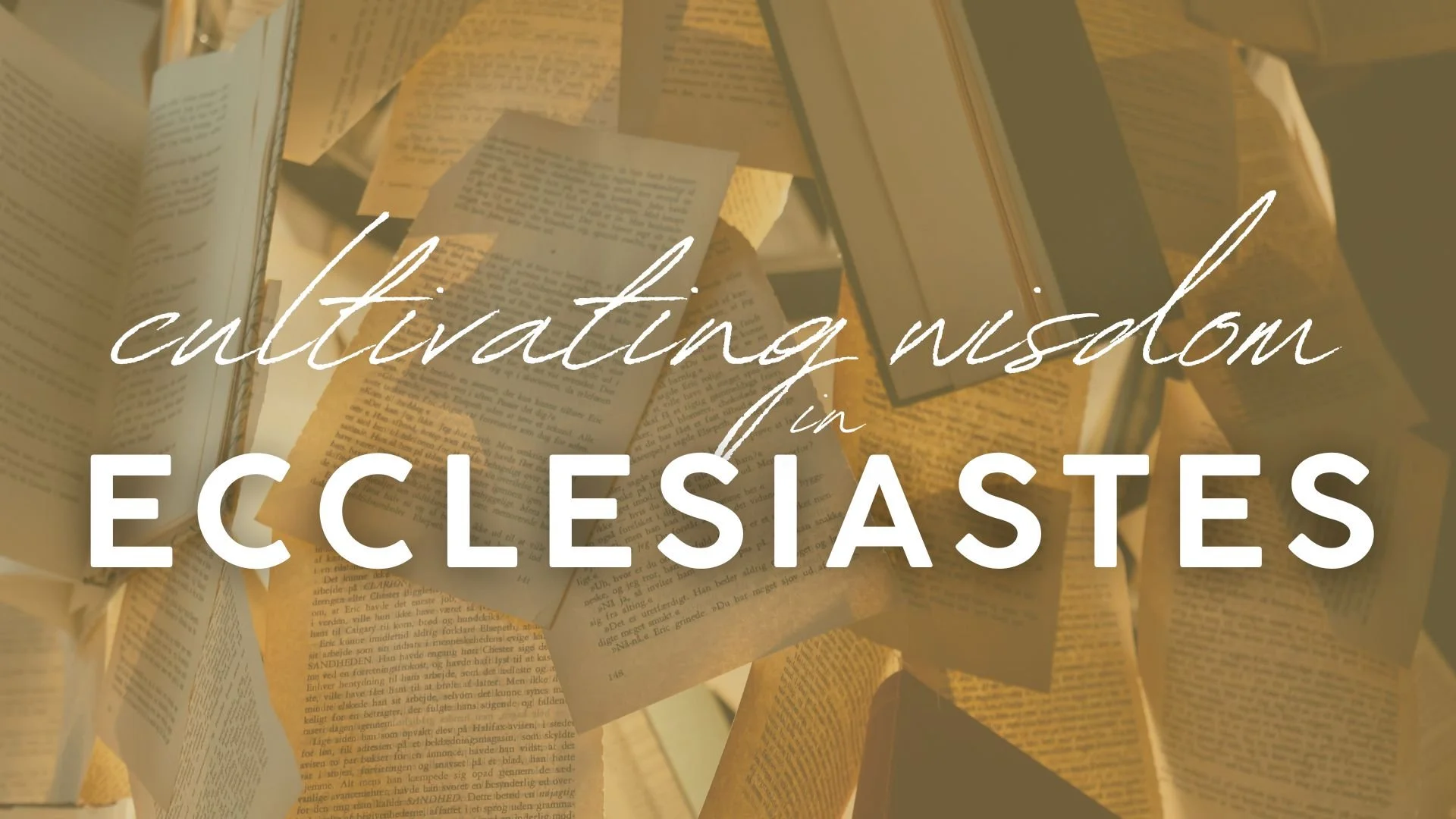 Lent 2026: Cultivating Wisdom in Ecclesiastes (Ecclesiastes 3:1-17)