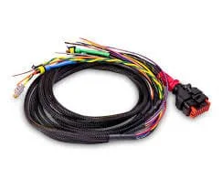 P type harness.jpg