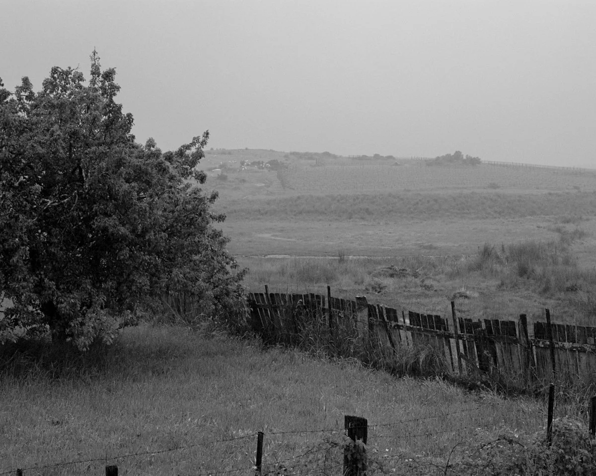 From Barren Ground