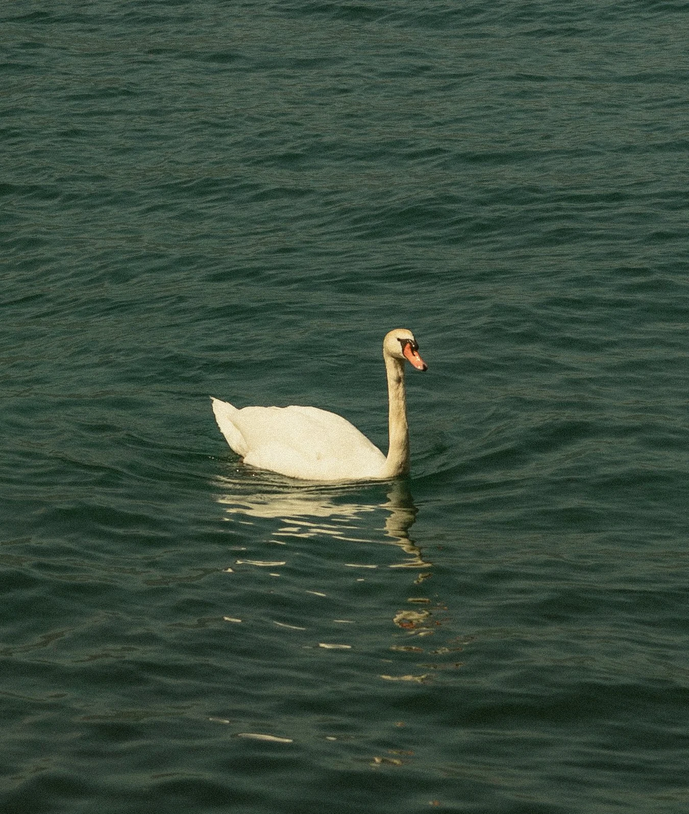 243A7664.jpg