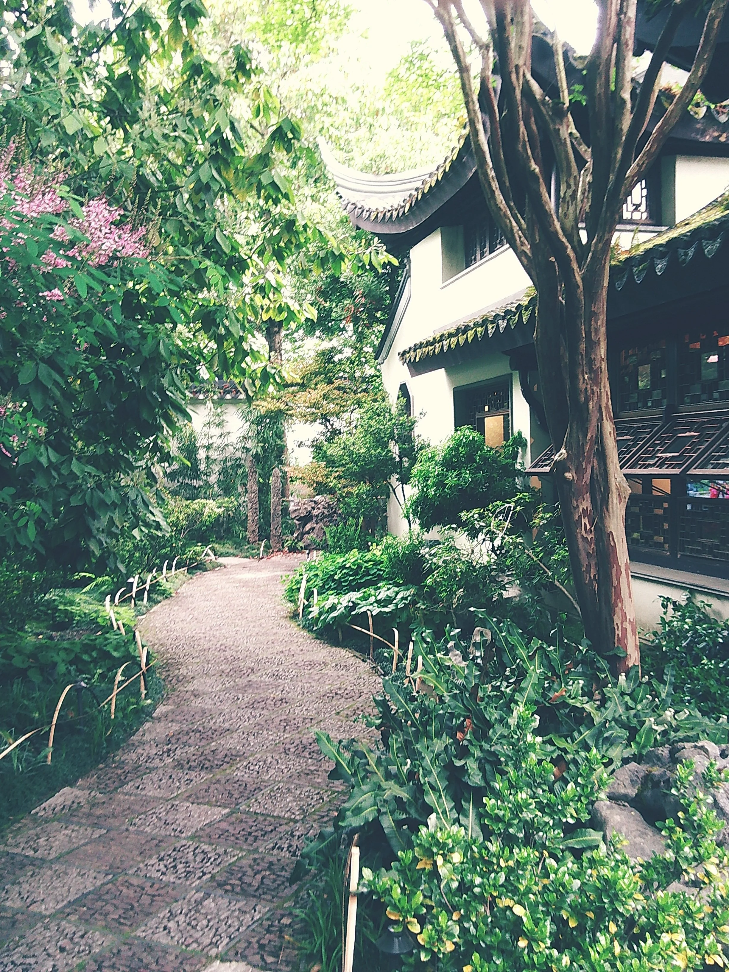 Lan Su Chinese Gardens 