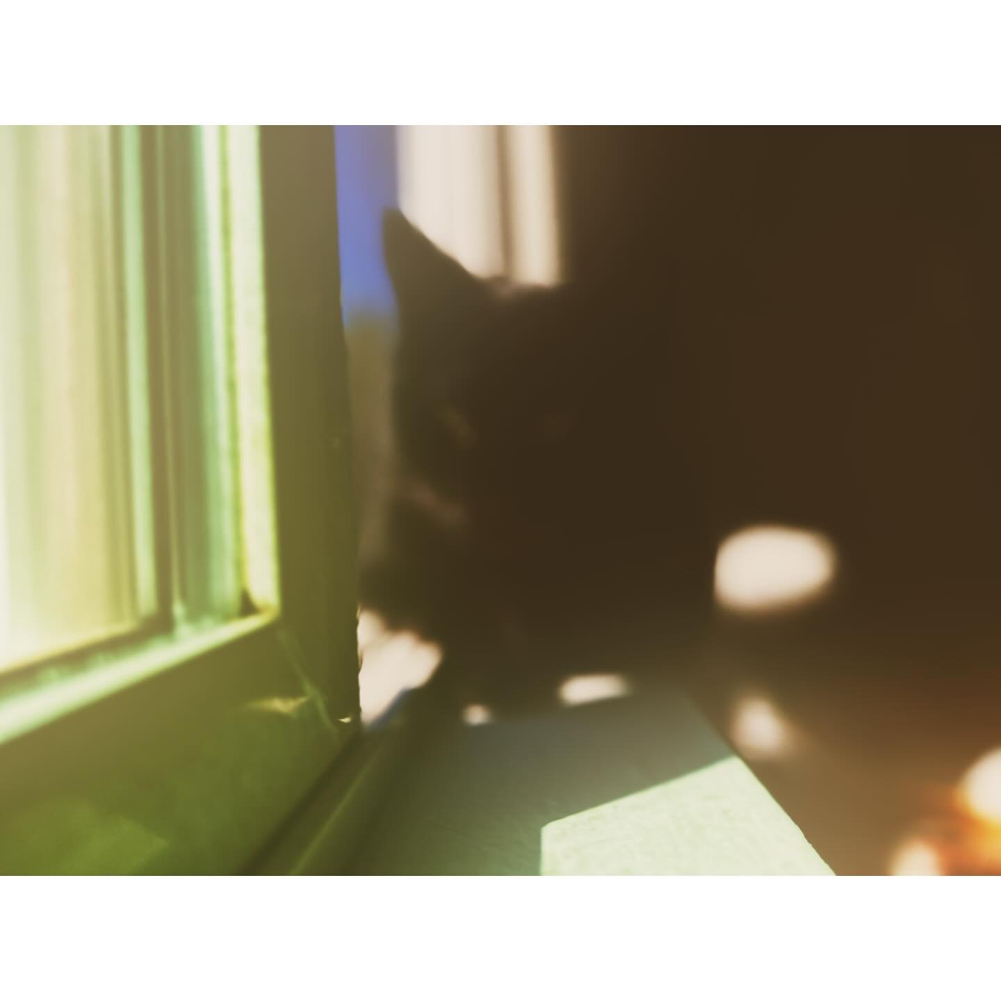 Creepin 🖤