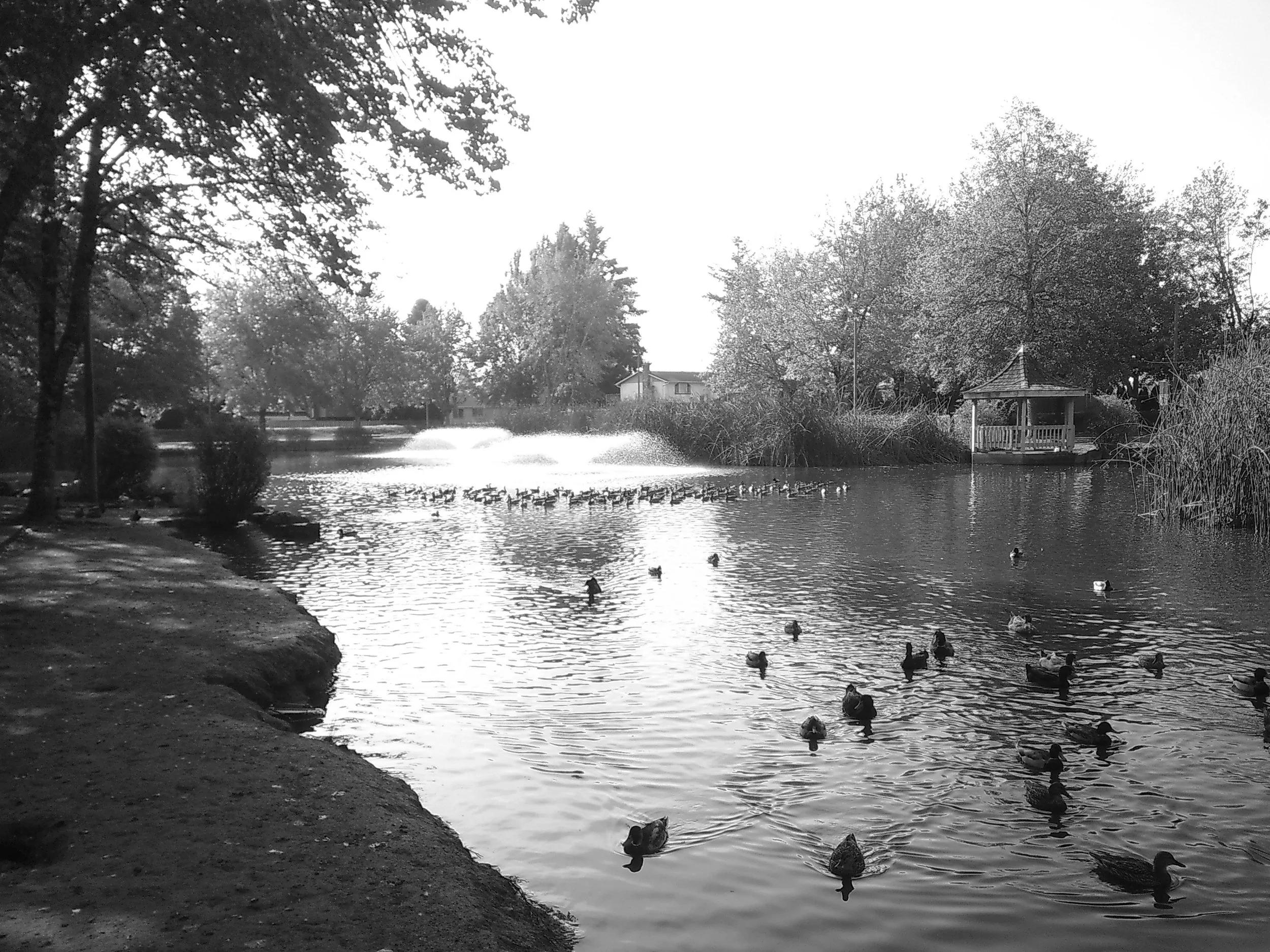 Portland Park