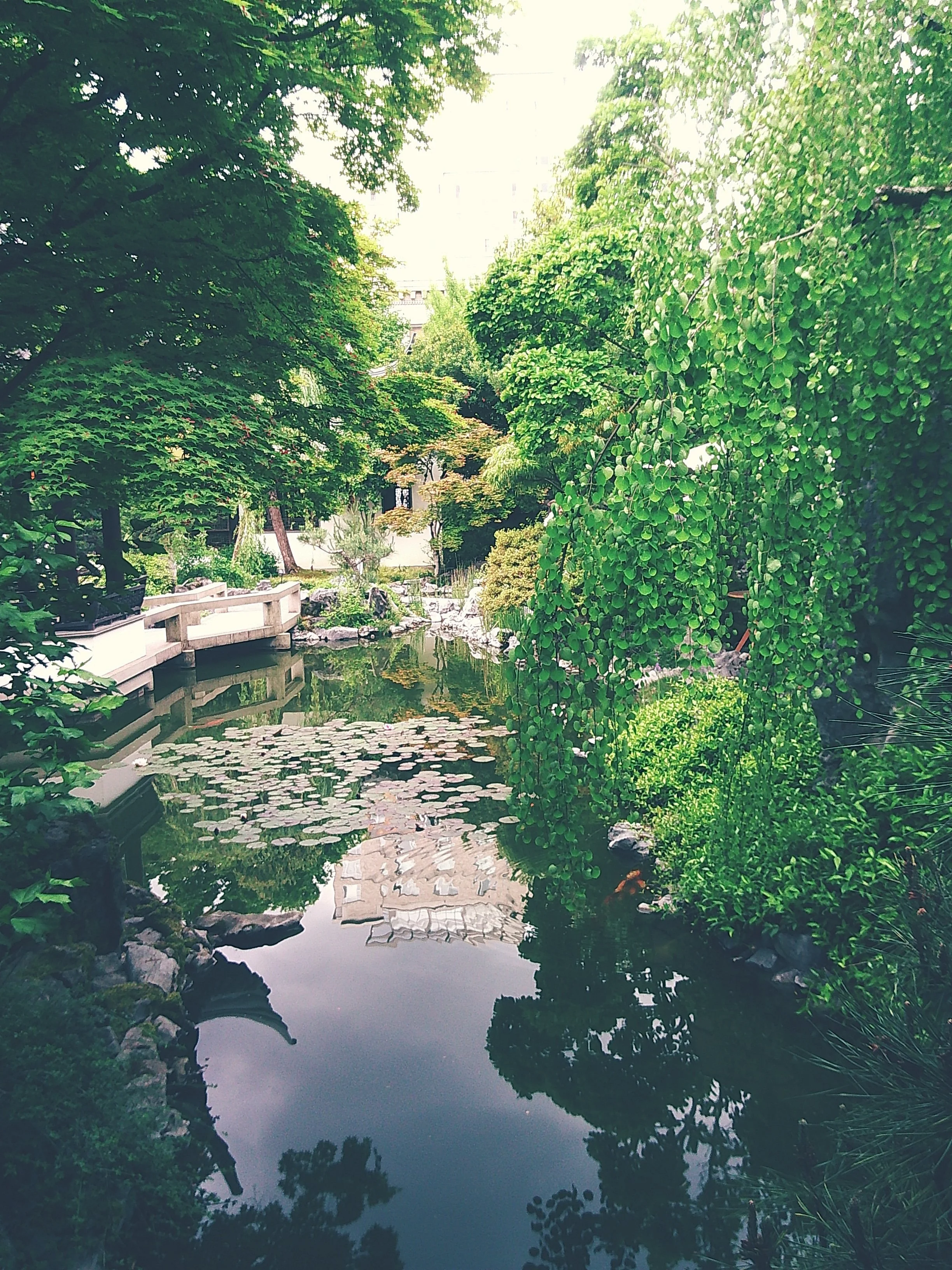 Lan Su Chinese Gardens 