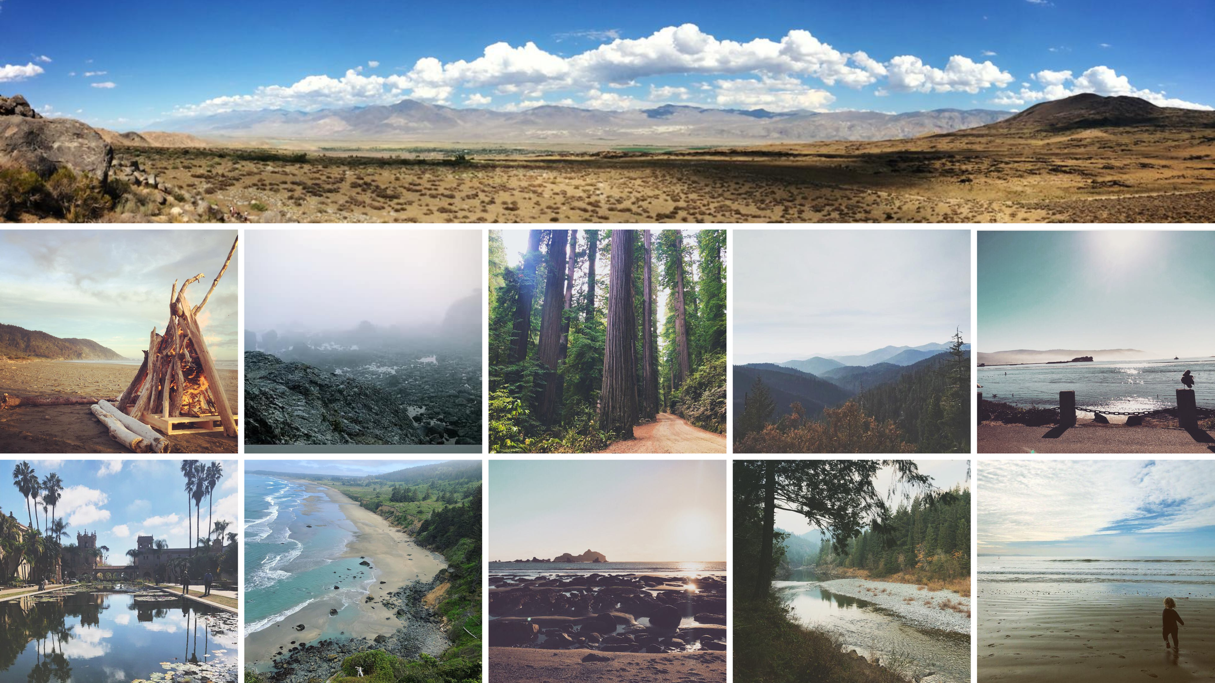 nature photography