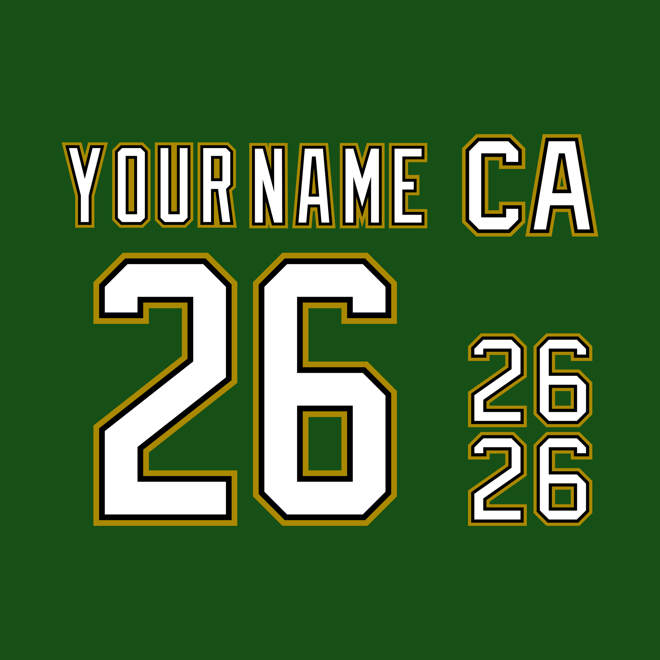 Dallas Stars 2001-04 Green Jersey Lettering Kit