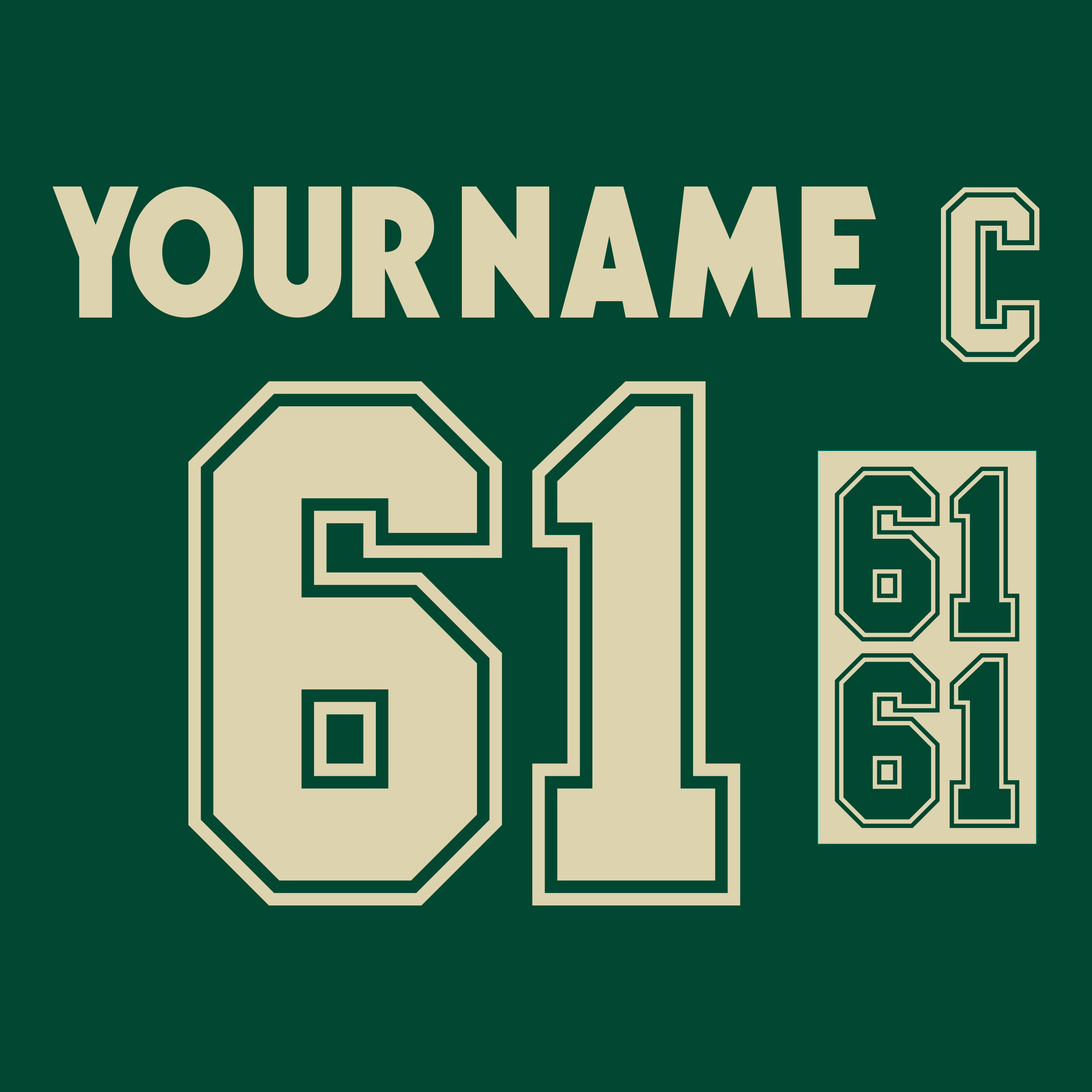 NHL All Star Game 2004 Western Conference Jersey Lettering Kit