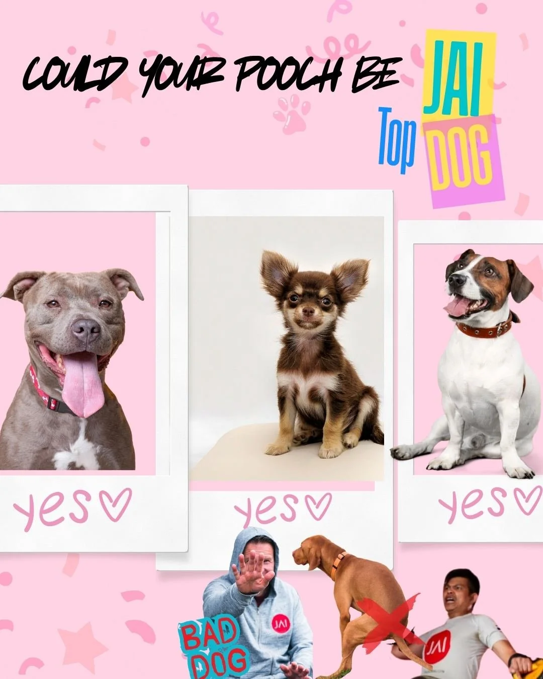 Get ready... because it's time to find out who has the goodest boy or girl in our community! We are officially launching the JAI Top Dog Competition! 🐾🏆
From your feeds, the occasional gym visit, and all the proud fur-parent bragging, we KNOW you g
