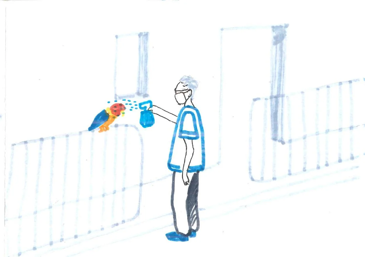 parrotPlan de travail 2.jpg