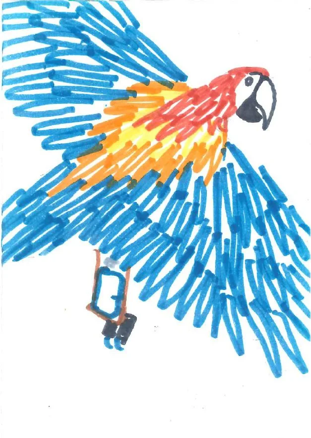 parrotPlan de travail 5.jpg