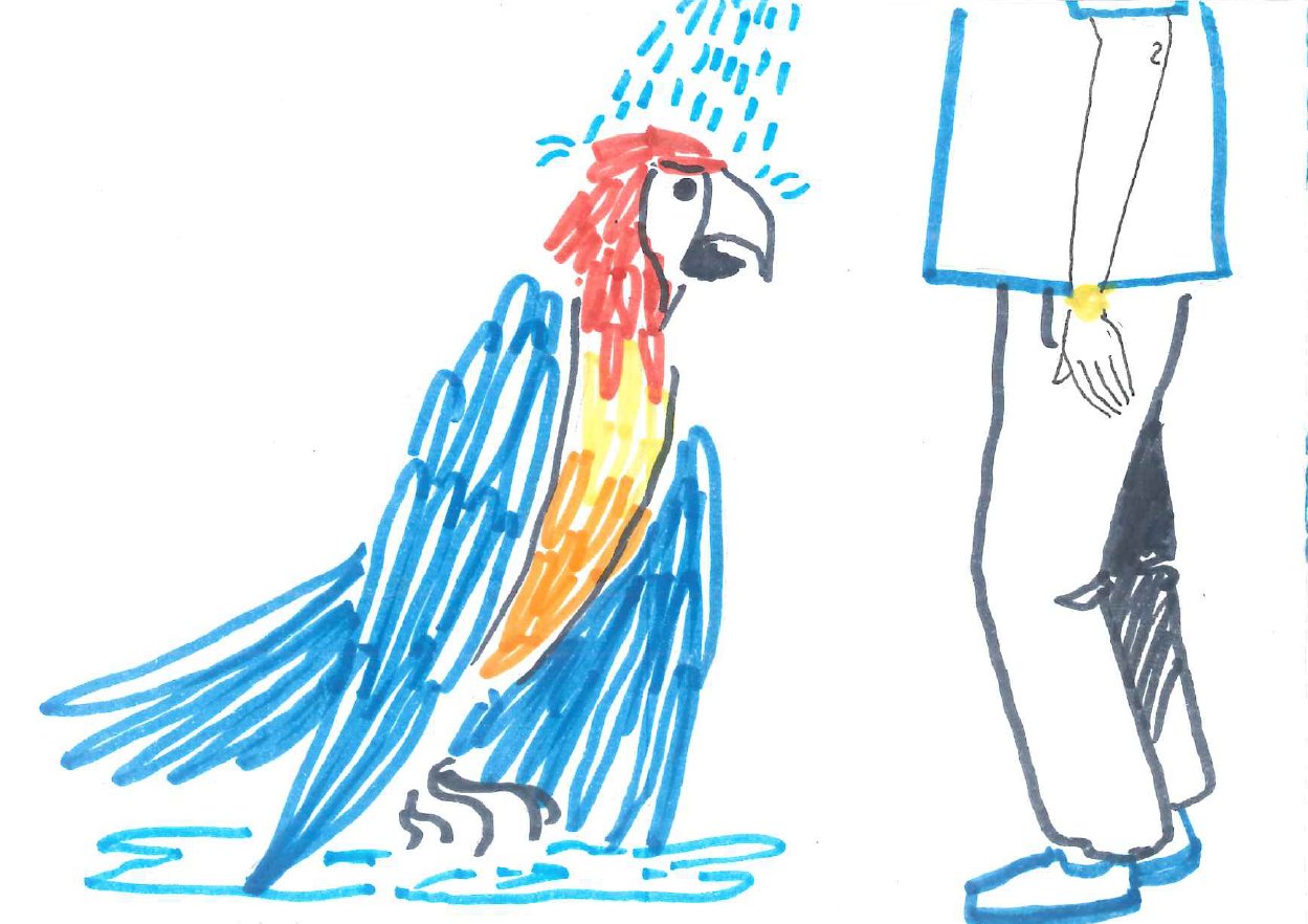 parrotPlan de travail 4.jpg