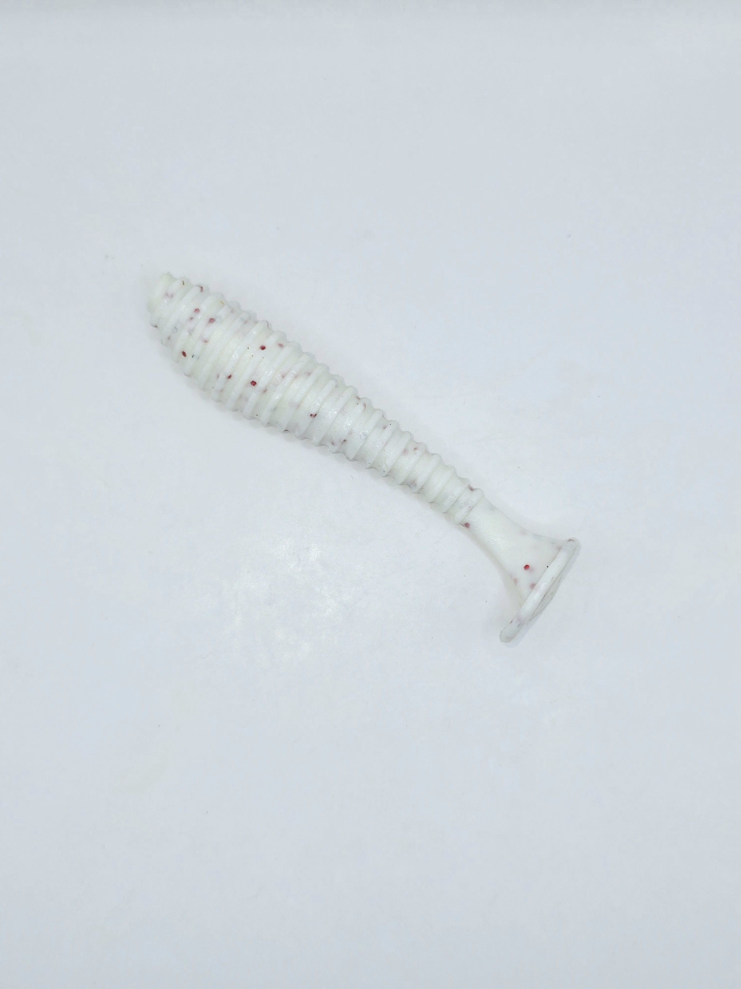 20241104_185336.jpg