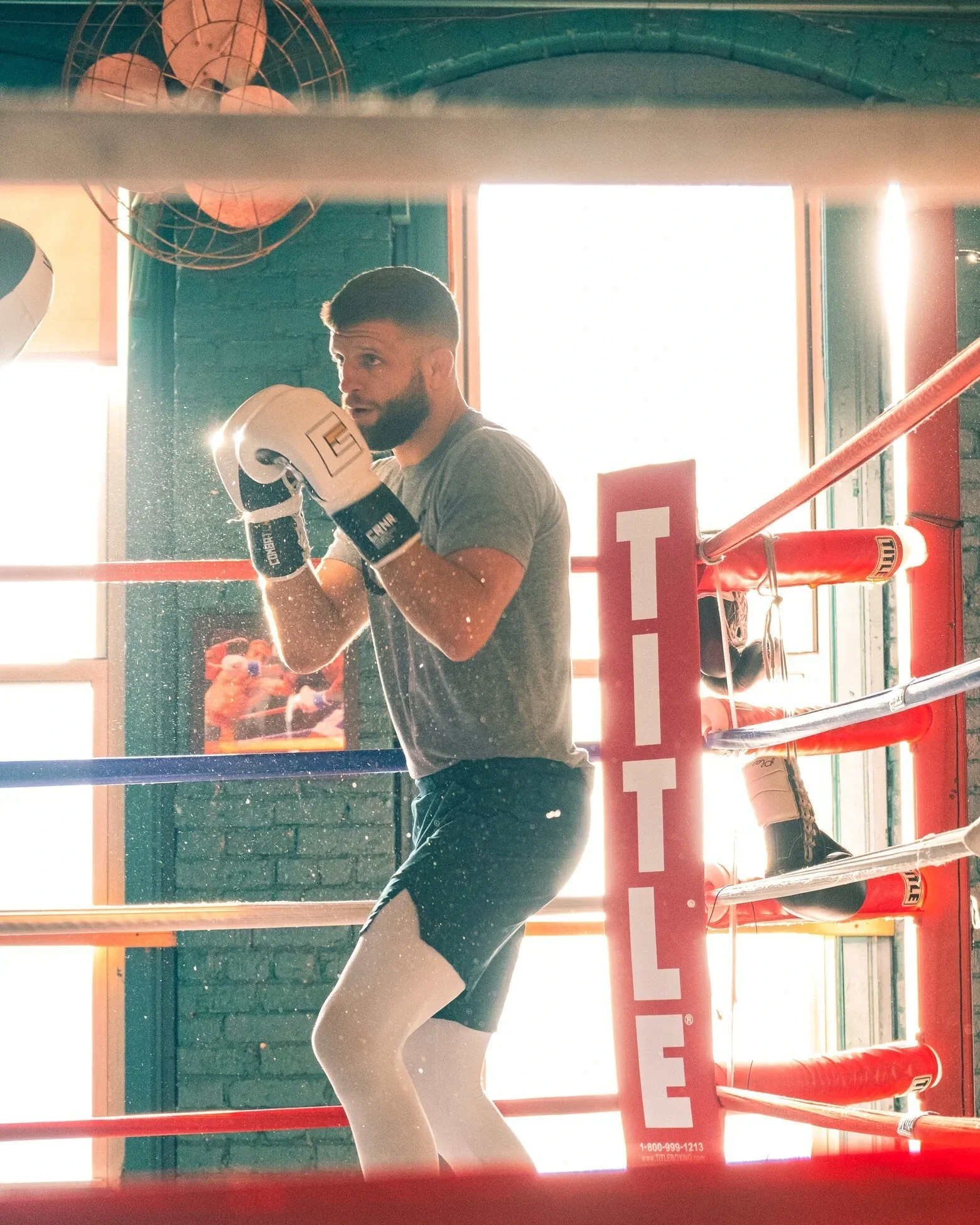CalvinKattar.jpg.webp