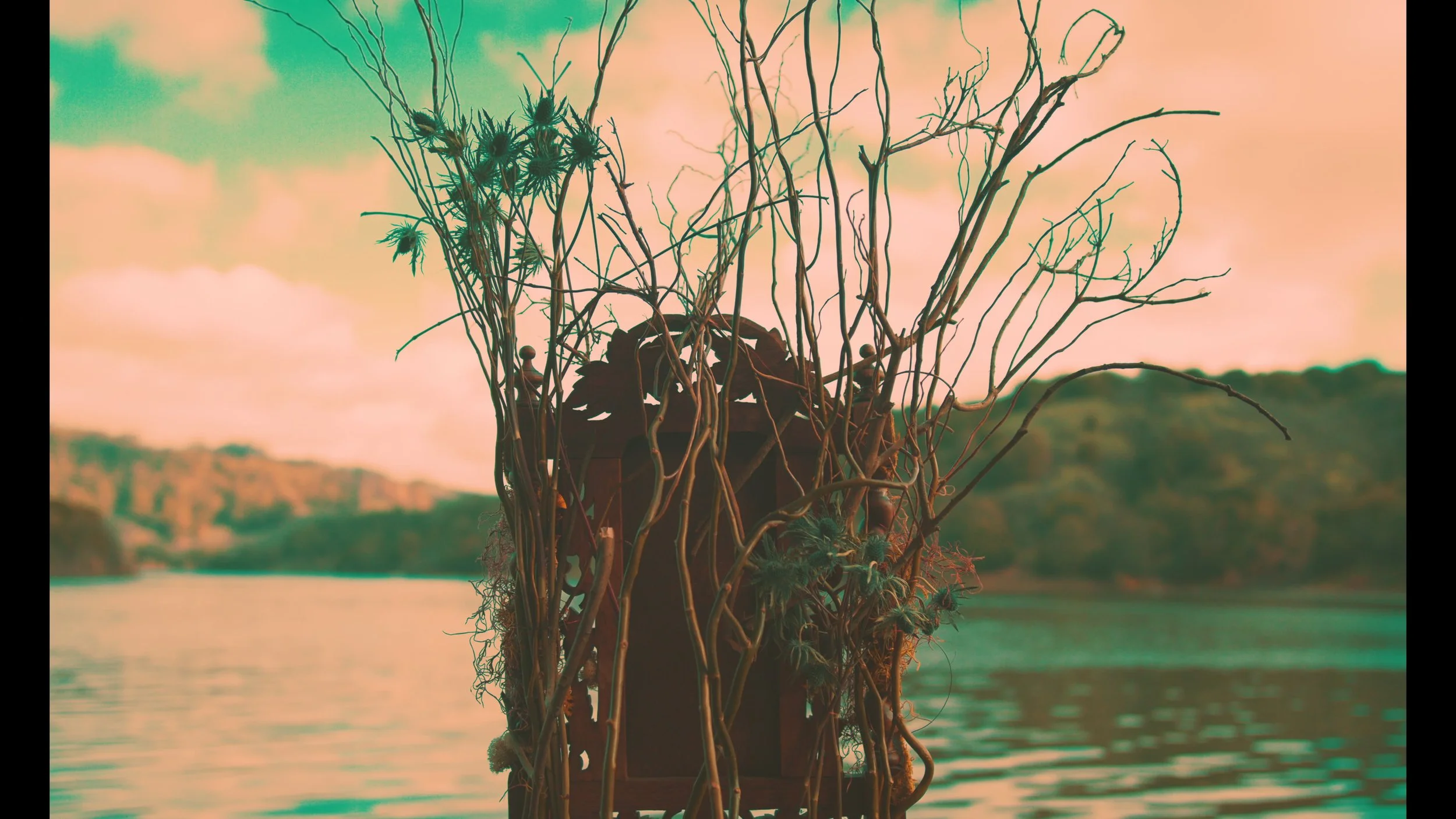 frame_86510.jpg