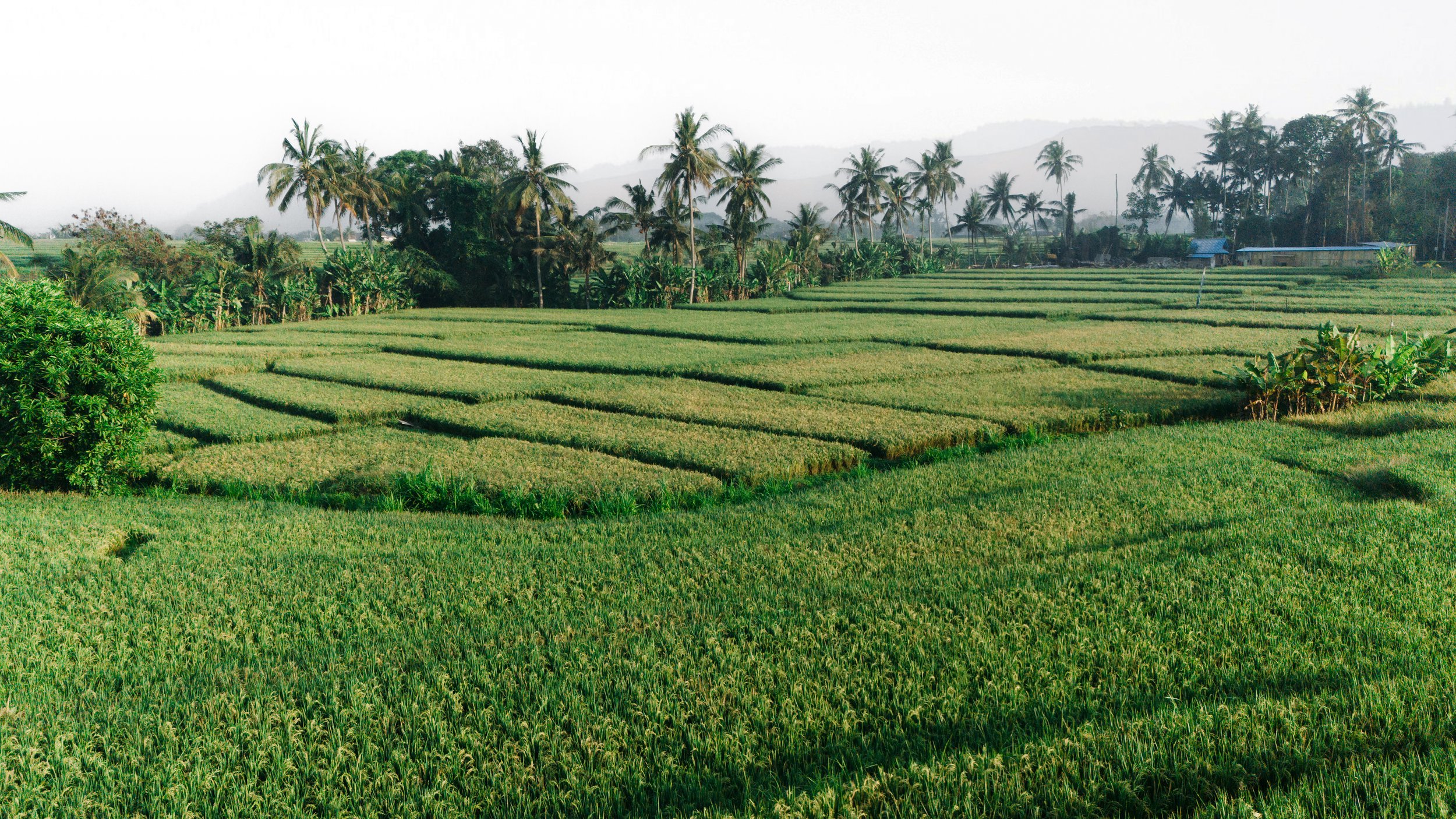 Two styles in ​~ one serene space​