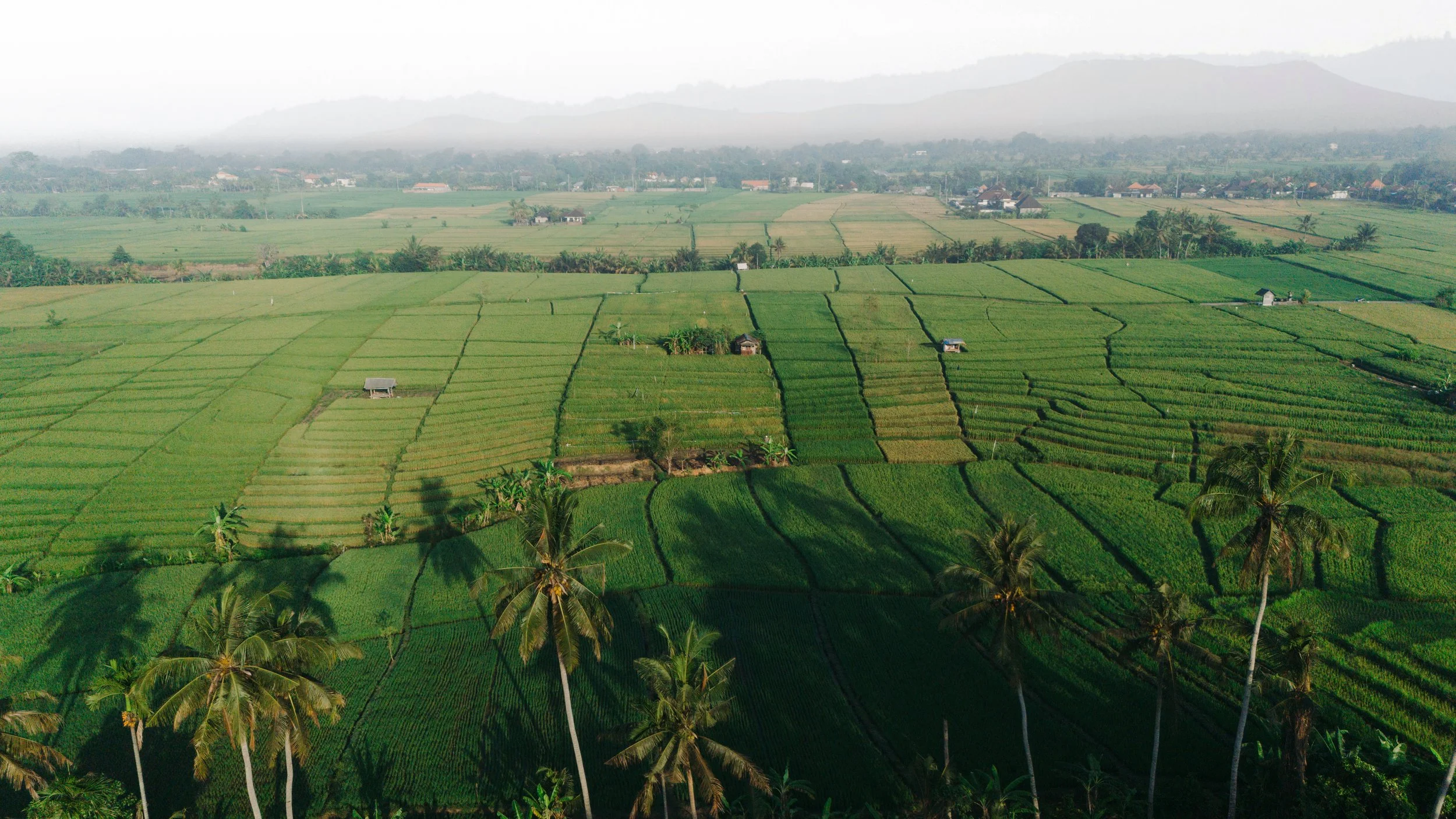 DJI_20240920071818_0588_D-Edit (1).jpg