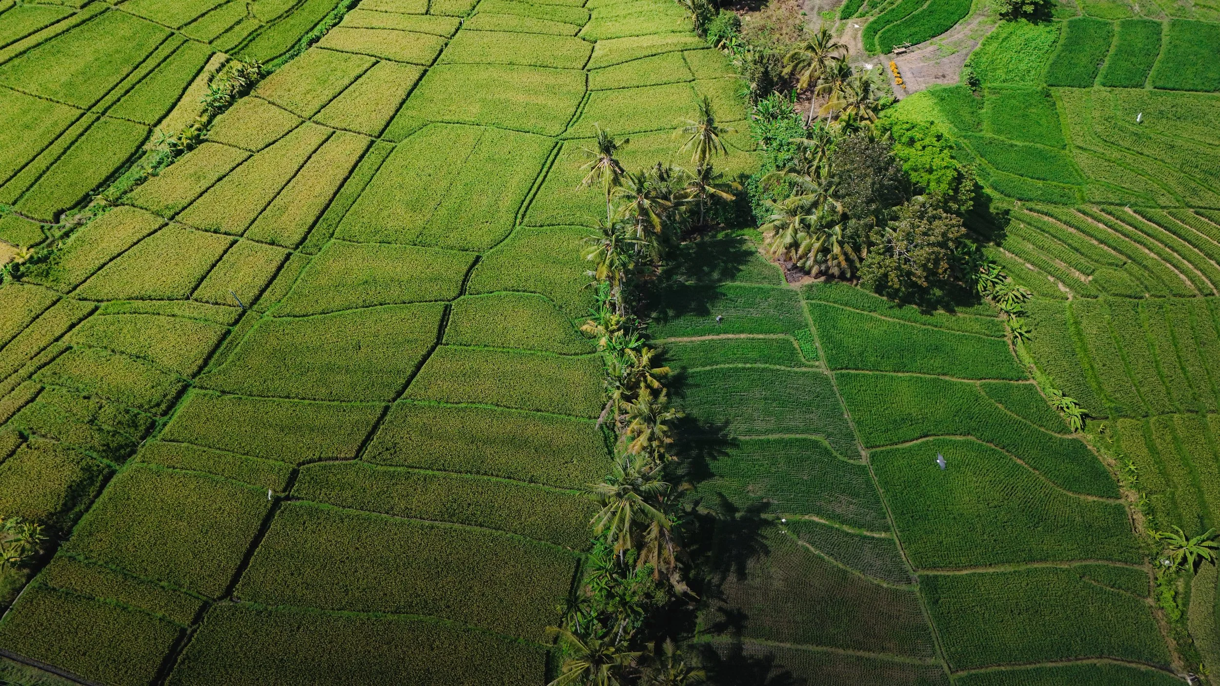 DJI_20240918094307_0567_D (1).jpg