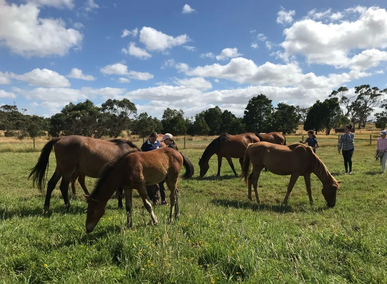 What's On — Inverloch Equinox Festival