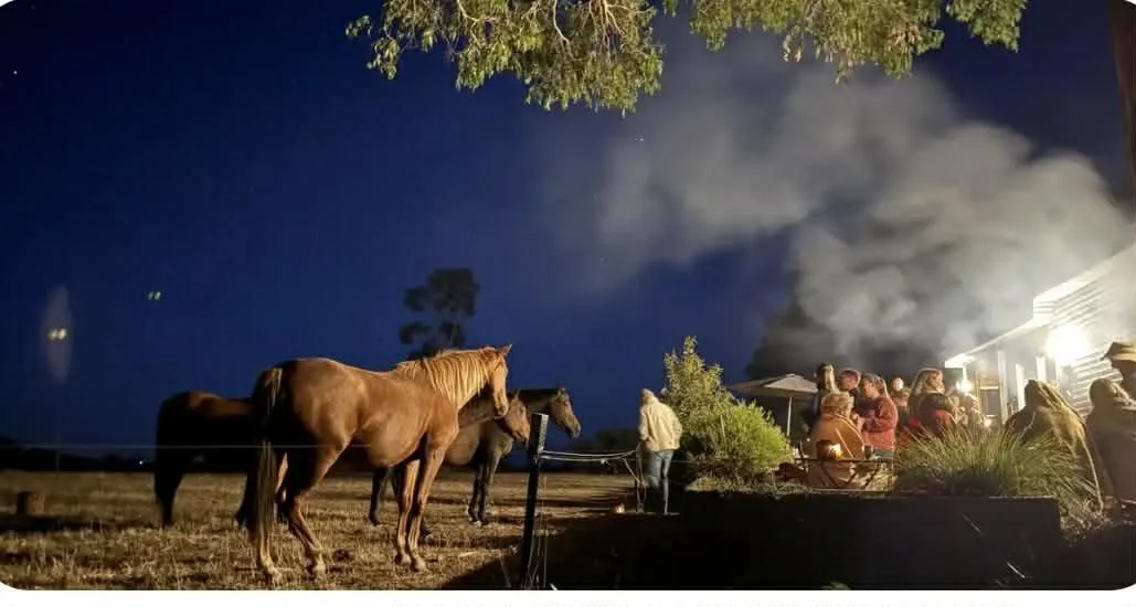Sunset Bush Poetry with Horses 