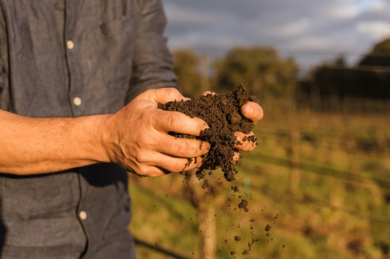 Dirty_3_Wines_July2020-140 reduced size.jpeg