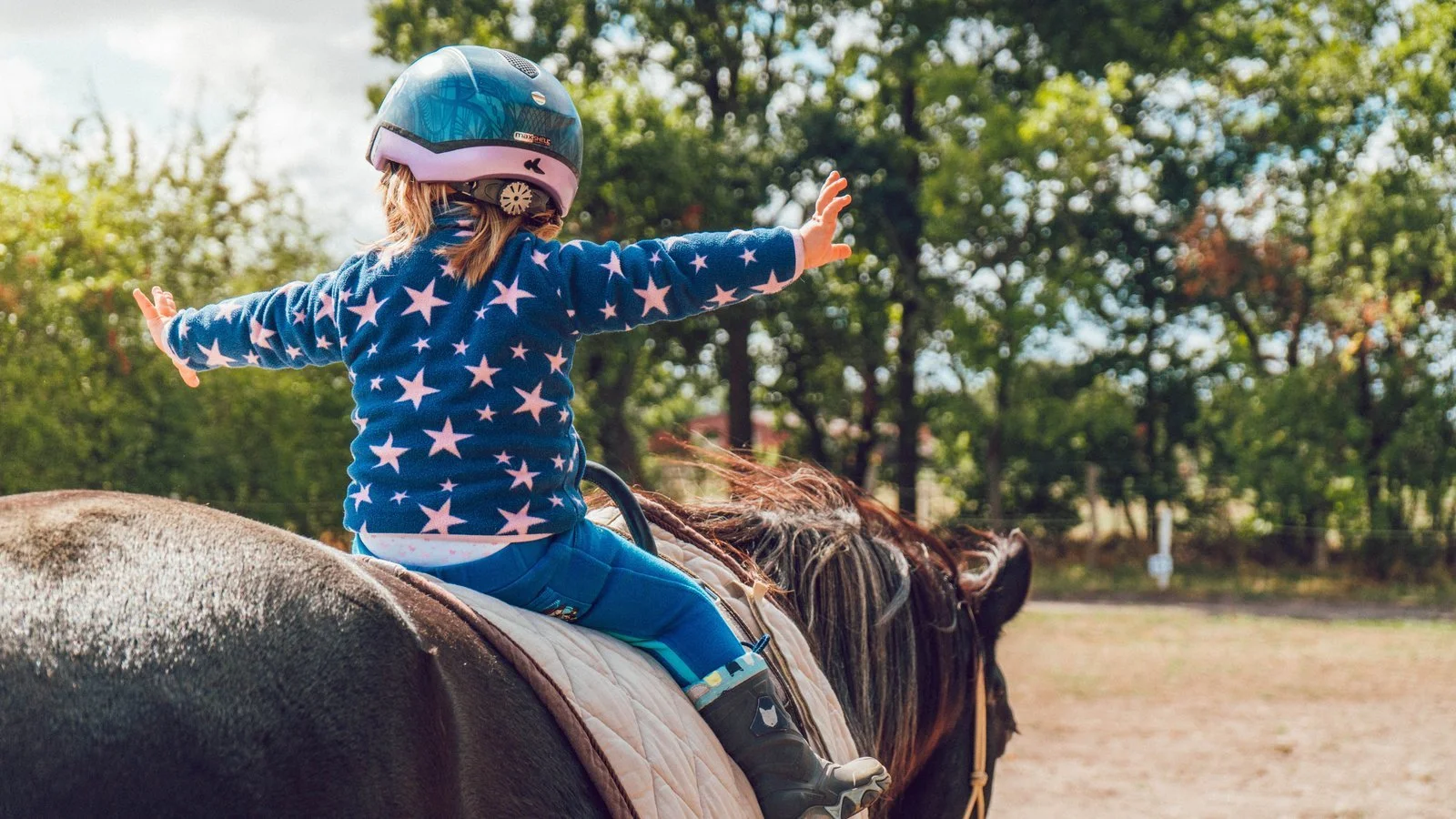 Pony Rides & Farmgate 
