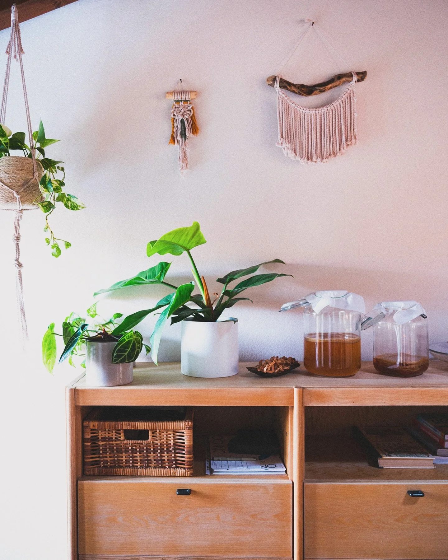 L&rsquo;ambiente che ci circonda ci influenza tantissimo a livello emotivo.
Questo &egrave; uno di quegli angoli di casa che solo a guardarli ci trasmettono calma e bellezza. Beh, le piante ovviamente aiutano tantissimo. 🌱

Abbiamo deciso di toglier