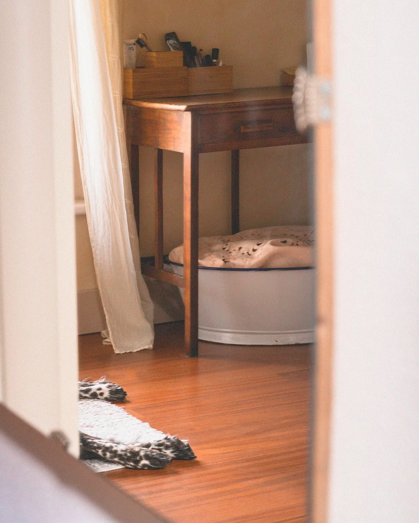 Momenti di relax&hellip; al bagno🐺

_
_
_

#ecothesetter #relax #setteringlese #pov