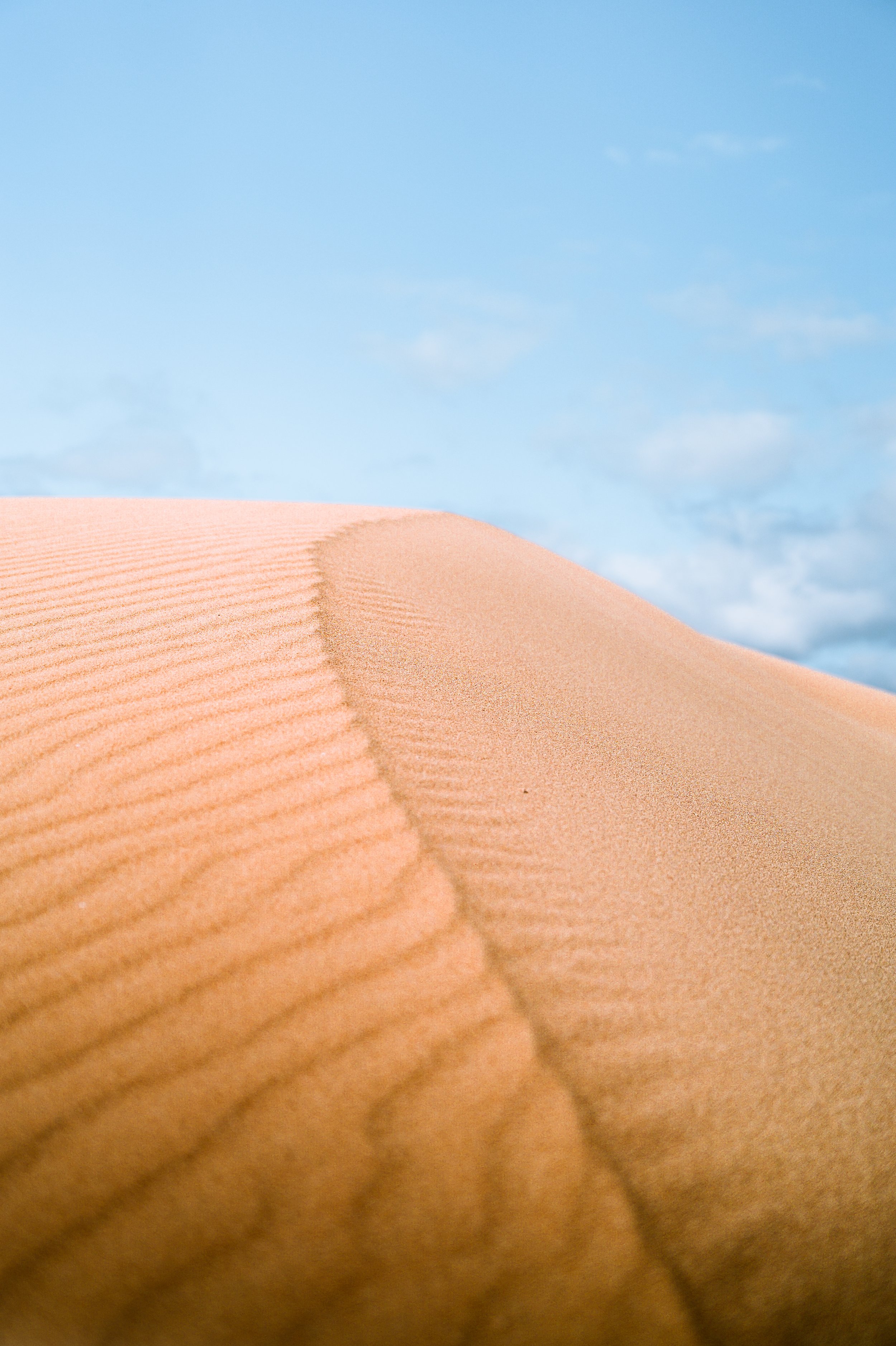 Fuerteventura_237-2.jpg