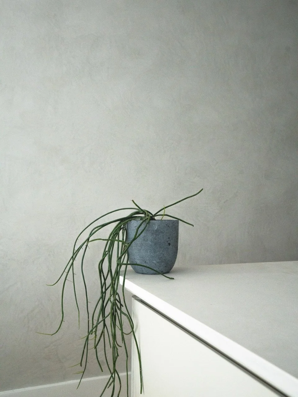 DSC09015-3 Large.jpeg