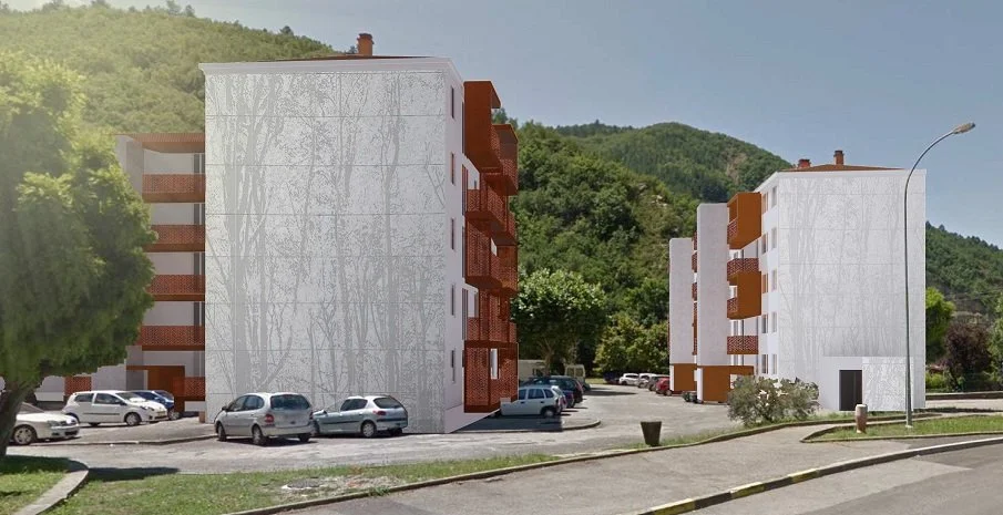 Photo insertion Pigeonnie-nov - Copie.jpg