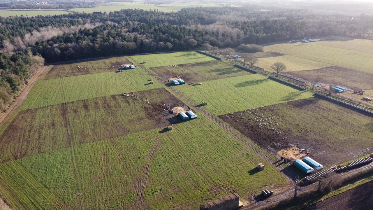 Roller Banner - Aerial.jpg