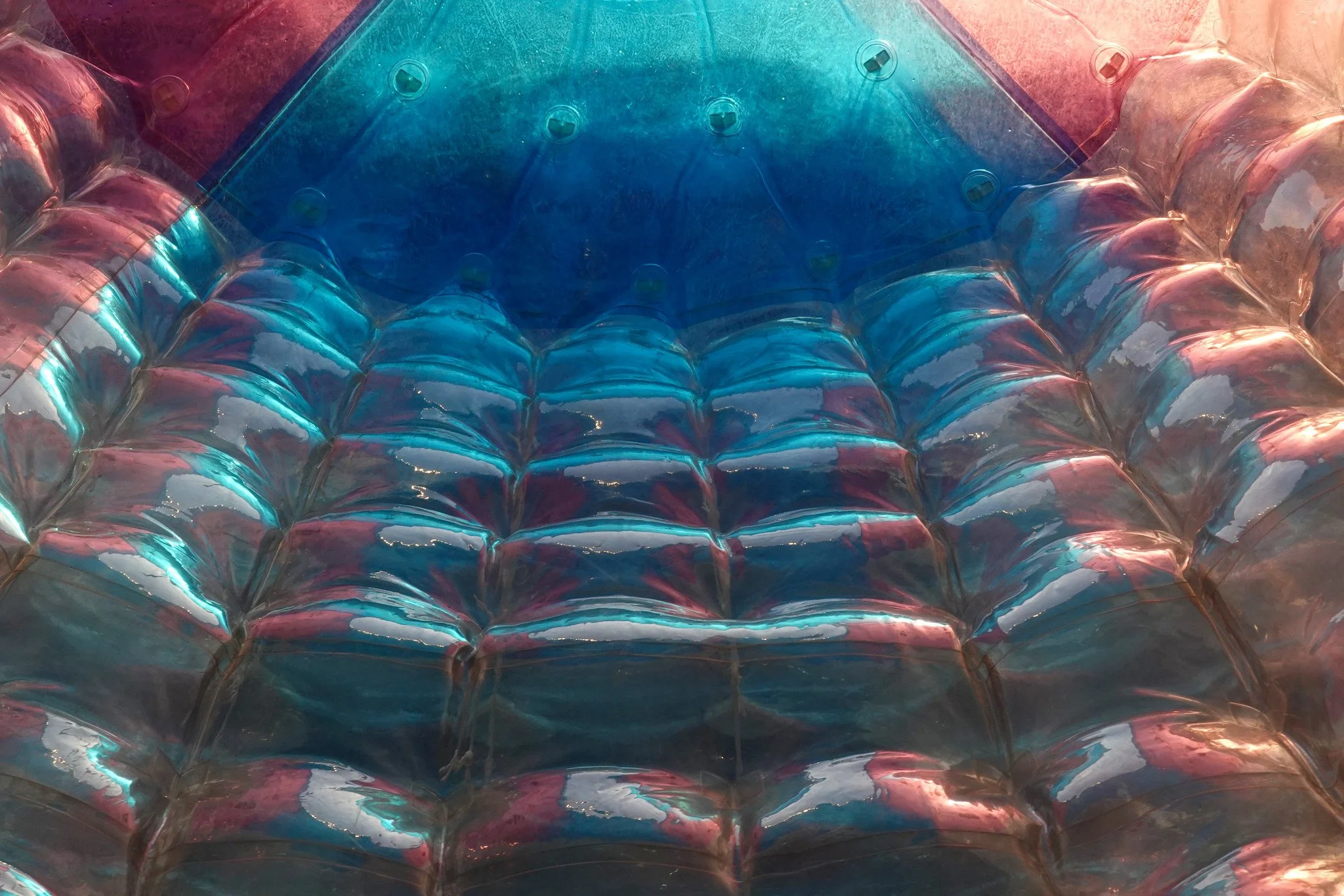 DSC07709