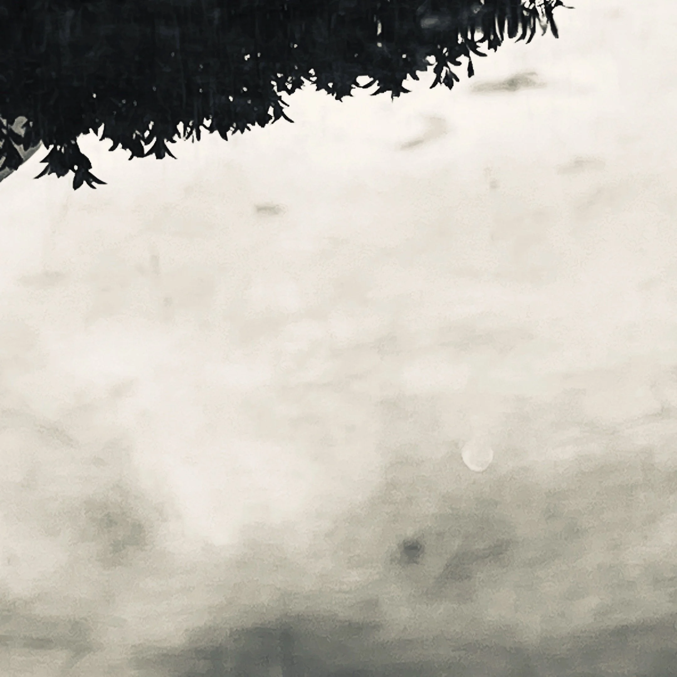 CE0DED04-5654-4E74-908F-ED938EA28ED9.jpeg