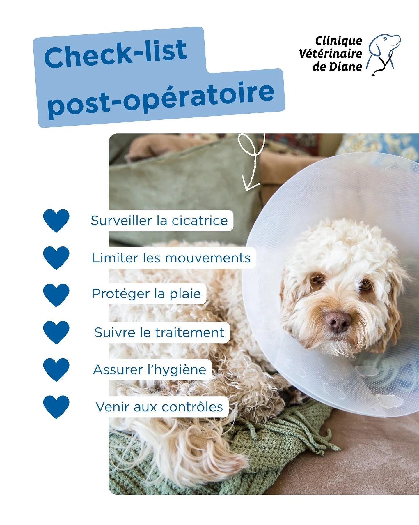 📋 Check-list post-op&eacute;ratoire &ndash; Clinique V&eacute;t&eacute;rinaire de Diane

Apr&egrave;s une chirurgie, les soins &agrave; la maison sont essentiels pour une gu&eacute;rison rapide et sans complication 🐾.
Voici nos conseils cl&eacute;s