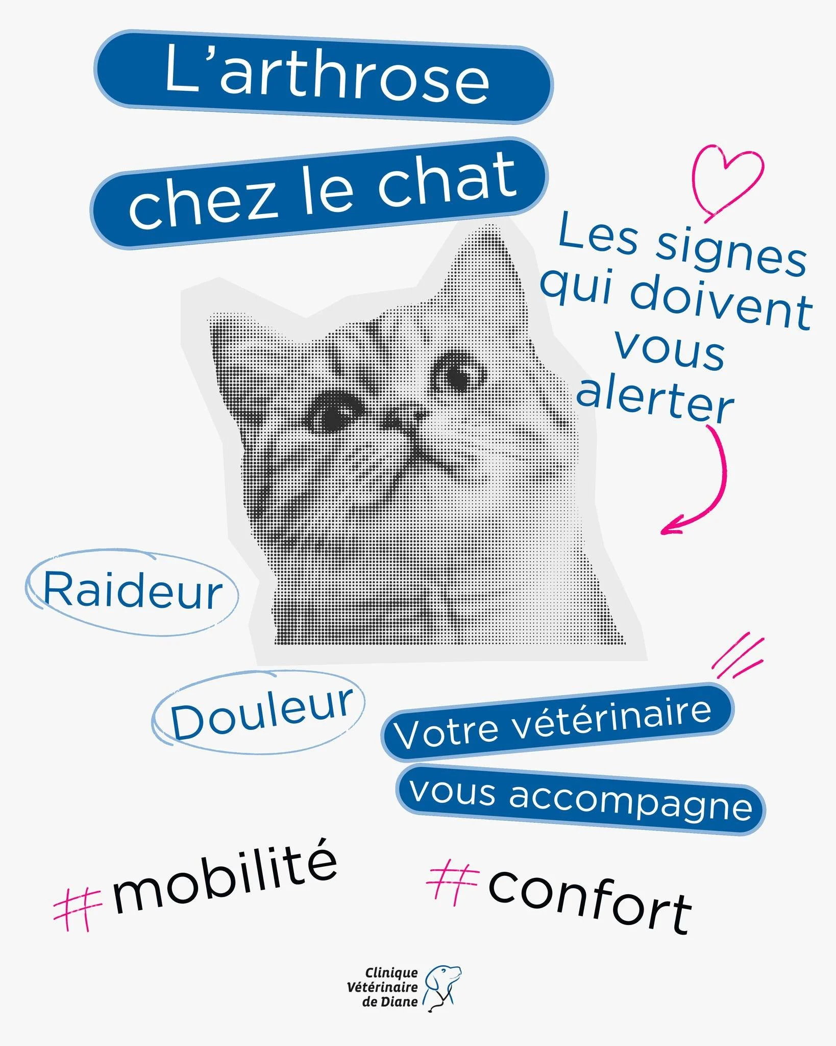 🐾 Votre chat devient 𝒎𝒐𝒊𝒏𝒔 𝒂𝒄𝒕𝒊𝒇 ?
Il 𝒔𝒂𝒖𝒕𝒆 𝒎𝒐𝒊𝒏𝒔, 𝒅𝒐𝒓𝒕 𝒑𝒍𝒖𝒔, &eacute;vite les 𝒆𝒔𝒄𝒂𝒍𝒊𝒆𝒓𝒔 ? Ces signes peuvent r&eacute;v&eacute;ler de l&rsquo;𝒂𝒓𝒕𝒉𝒓𝒐𝒔𝒆.

😿 Souvent 𝒔𝒊𝒍𝒆𝒏𝒄𝒊𝒆𝒖𝒔𝒆, l&rsquo;arthros