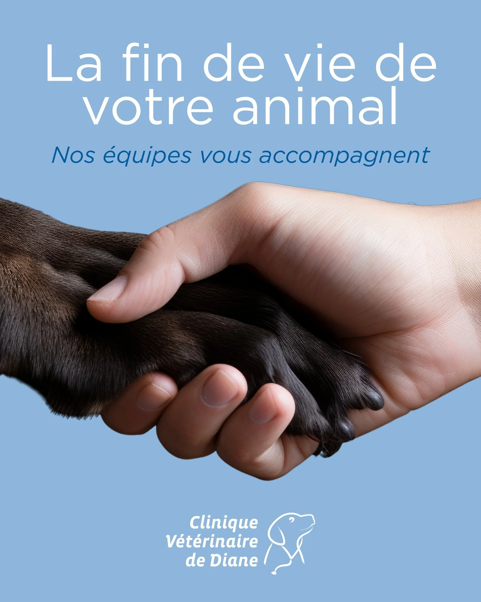 🕊️ Accompagner la fin de vie, avec respect et humanit&eacute;
Parler de la fin de vie de nos compagnons n&rsquo;est jamais facile&hellip;
Et pourtant, c&rsquo;est une partie essentielle de notre m&eacute;tier, et surtout de l&rsquo;accompagnement qu