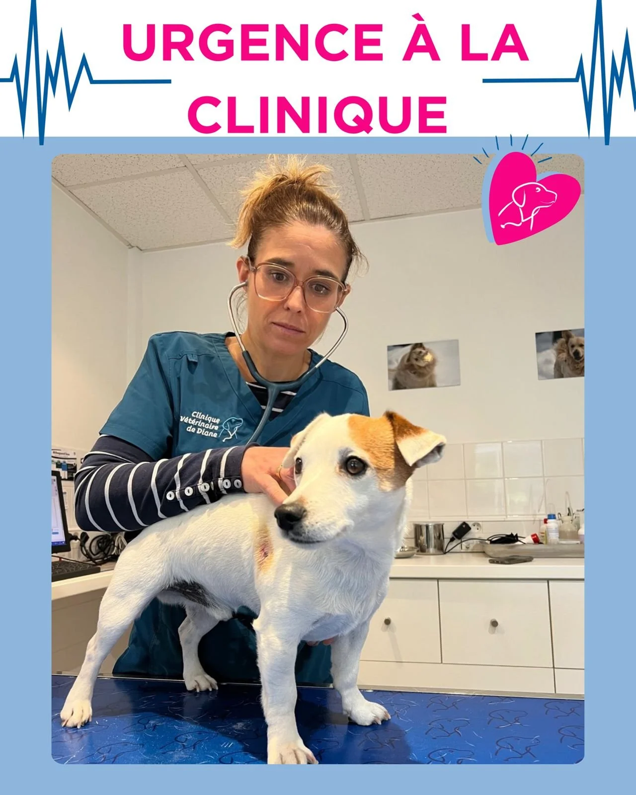 🐶 Urgence morsure : les bons r&eacute;flexes &agrave; avoir

Ce week-end, le petit Oby est arriv&eacute; en urgence &agrave; la clinique, tenu en laisse, apr&egrave;s avoir &eacute;t&eacute; mordu par un chien en libert&eacute;.
Heureusement, sa pro