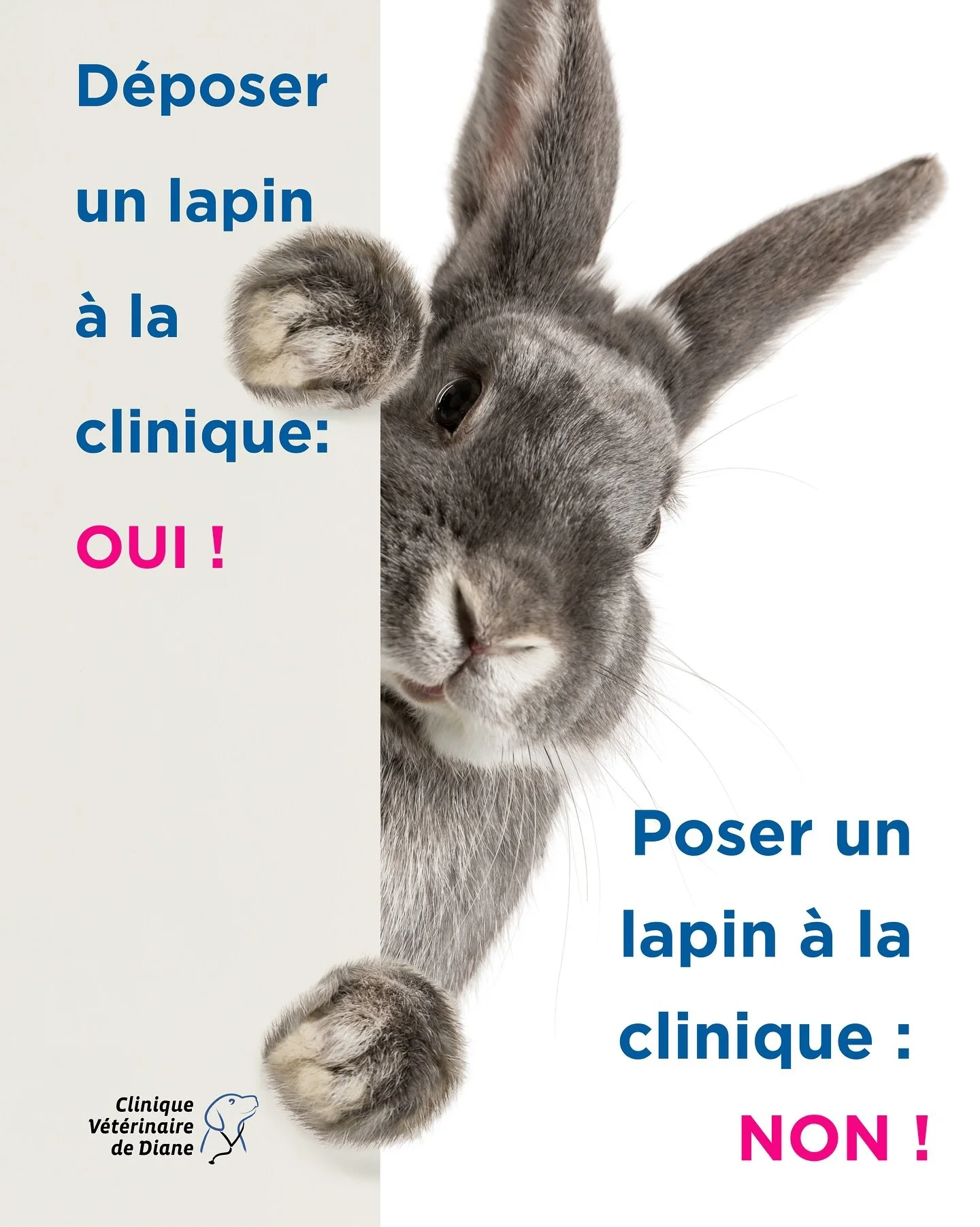 Un lapin, c&rsquo;est mignon&hellip; sauf quand il reste tout seul dans notre agenda 🗓️🐰 

&Agrave; la Clinique V&eacute;t&eacute;rinaire de Diane, chaque rendez-vous compte. Quand une consultation n&rsquo;est pas honor&eacute;e sans &ecirc;tre ann