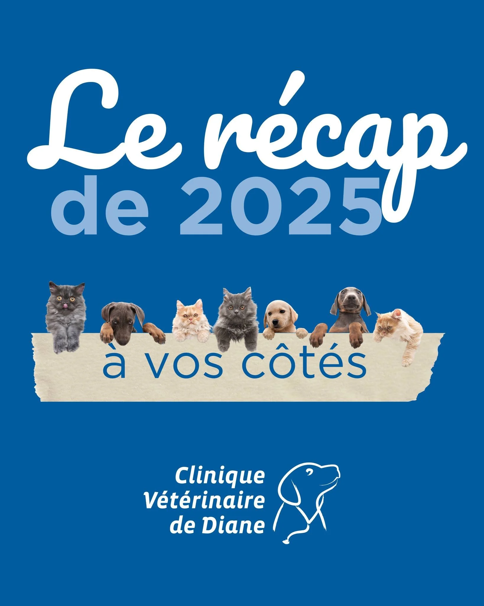 🎉 Merci pour cette ann&eacute;e 2025 exceptionnelle &agrave; vos c&ocirc;t&eacute;s !
Ensemble, nous avons accompagn&eacute; des centaines de compagnons avec bienveillance, expertise et passion. 🐾

👉 Voici quelques chiffres qui illustrent cette be