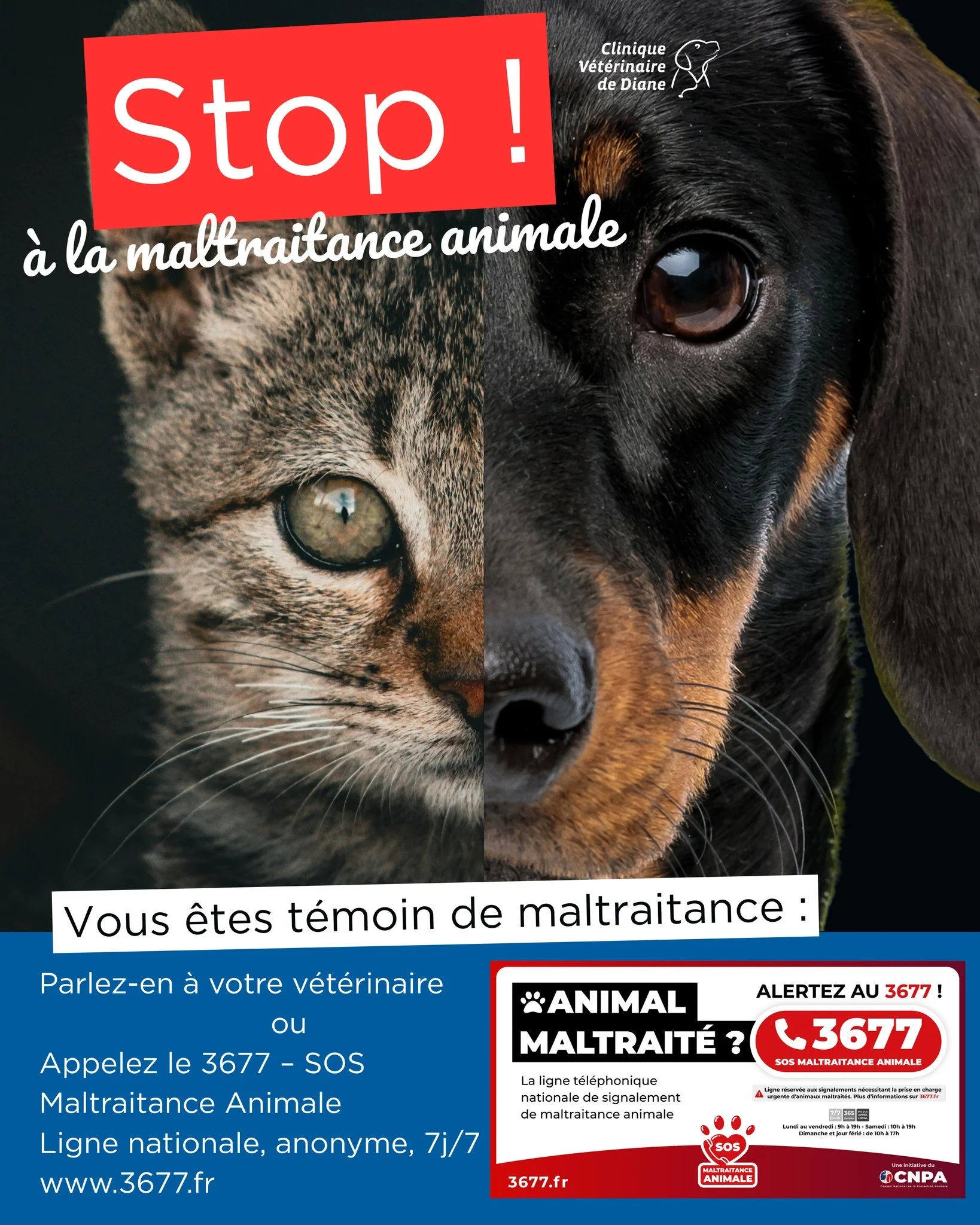 🛑 Violent, ce ma&icirc;tre ? Parfois, un animal maltrait&eacute; est le seul &agrave; le montrer&hellip;

La maltraitance animale ne se r&eacute;sume pas aux coups. Elle peut &ecirc;tre physique, psychologique, ou encore li&eacute;e &agrave; la n&ea