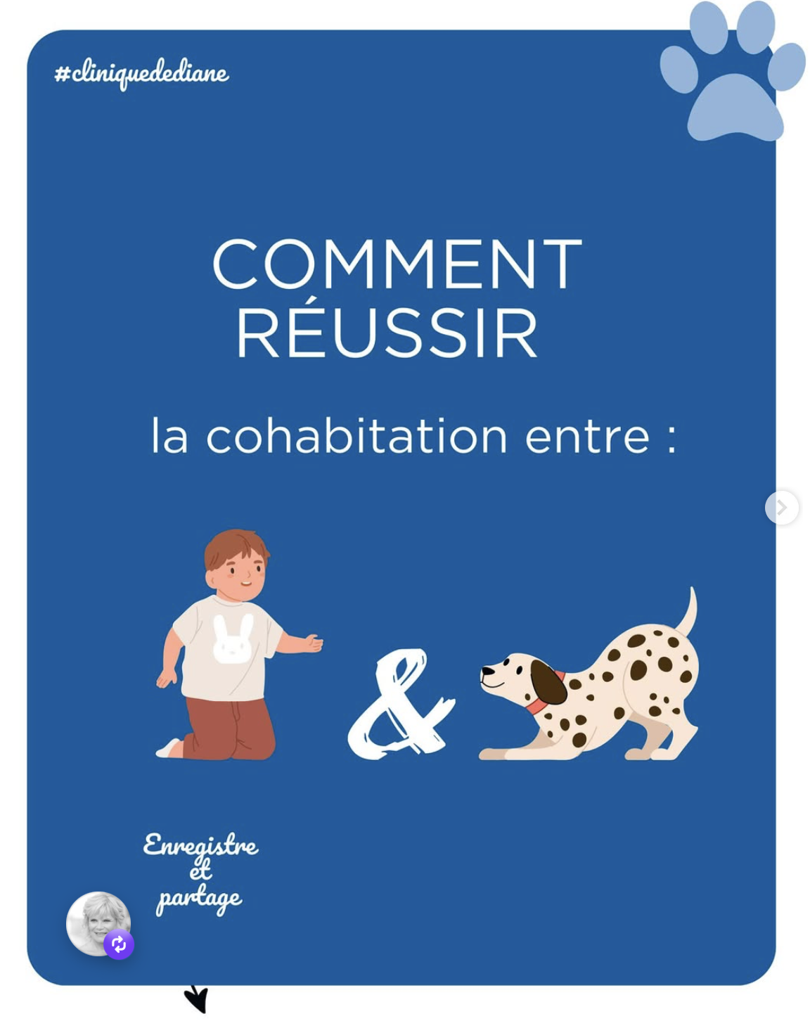 Chiens et enfants : une cohabitation harmonieuse qui s’apprend dès le départ
