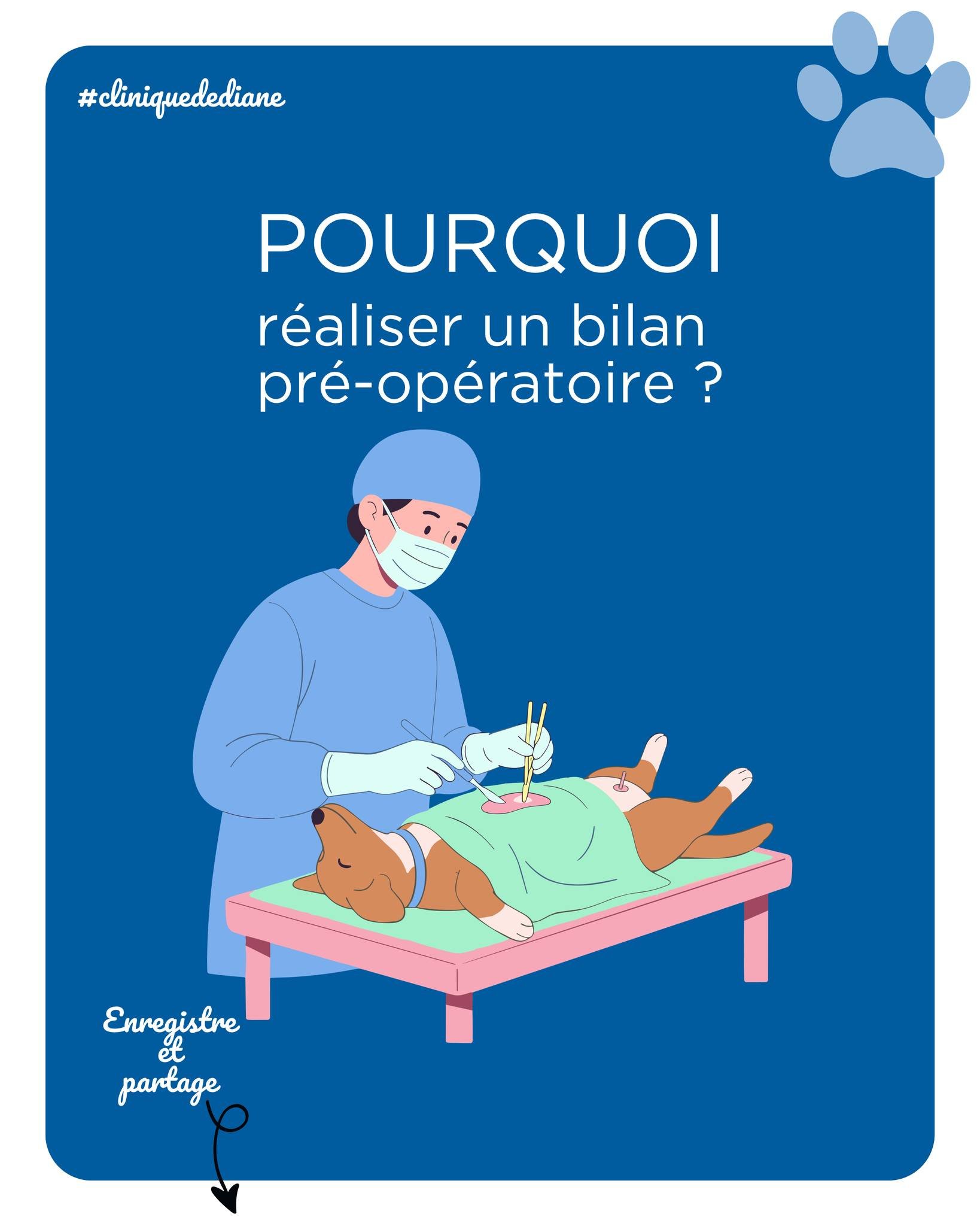 🐾 Le bilan pr&eacute;-op&eacute;ratoire : une &eacute;tape essentielle avant une anesth&eacute;sie

M&ecirc;me lorsqu&rsquo;un compagnon para&icirc;t en pleine sant&eacute;, certains d&eacute;s&eacute;quilibres peuvent rester invisibles.
&Agrave; tr