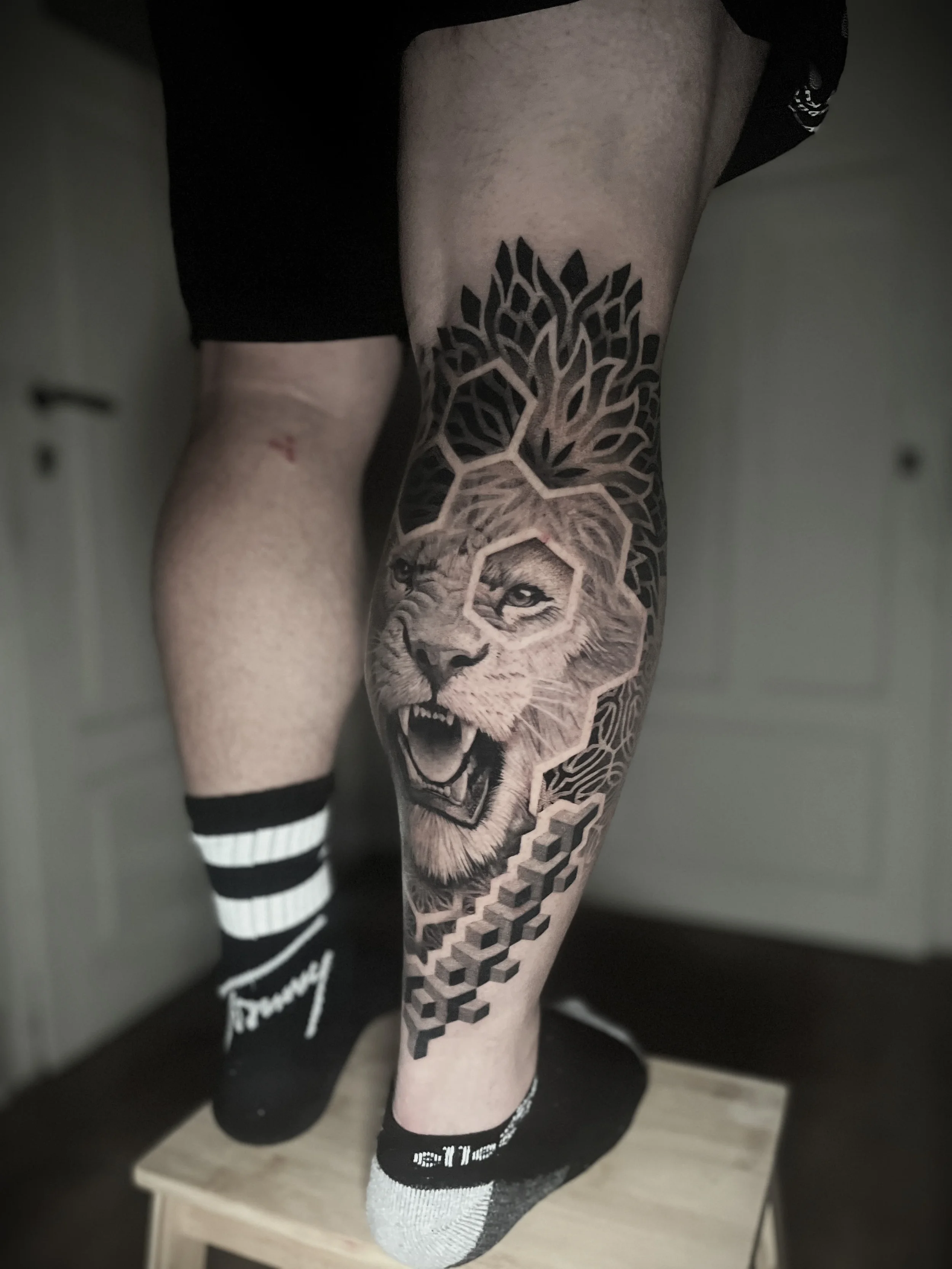 tetovani-na-litko-lev-realisticke.webp