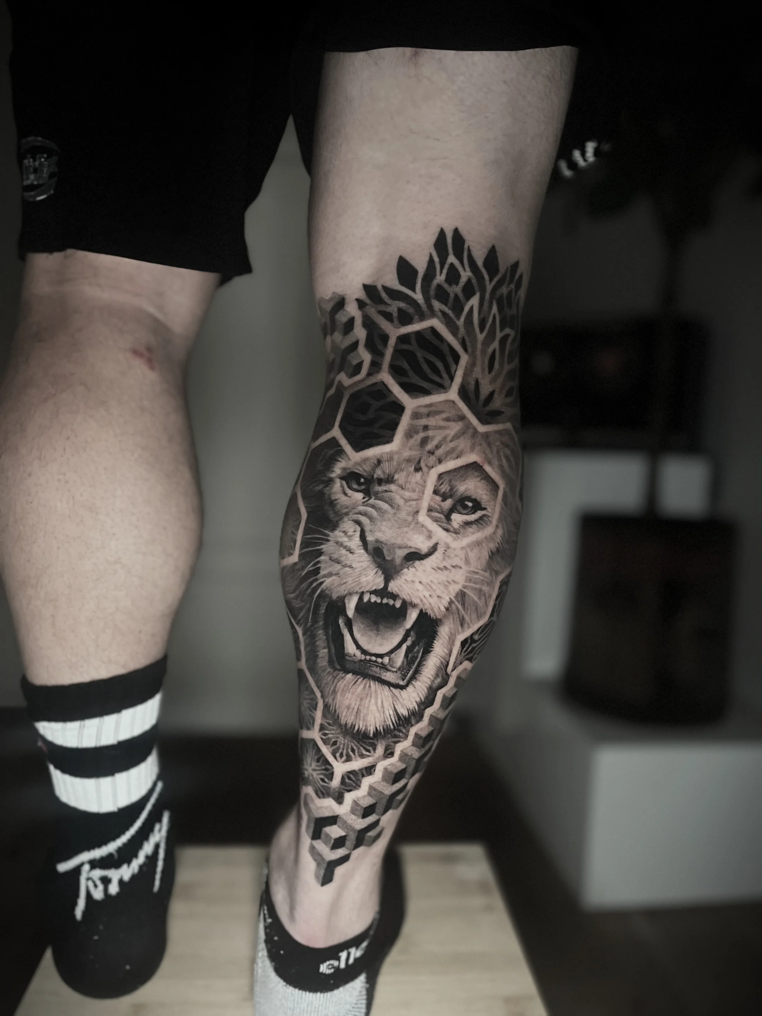 detail-realisticke-tetovani-lev-lytko-muz - kopie.webp