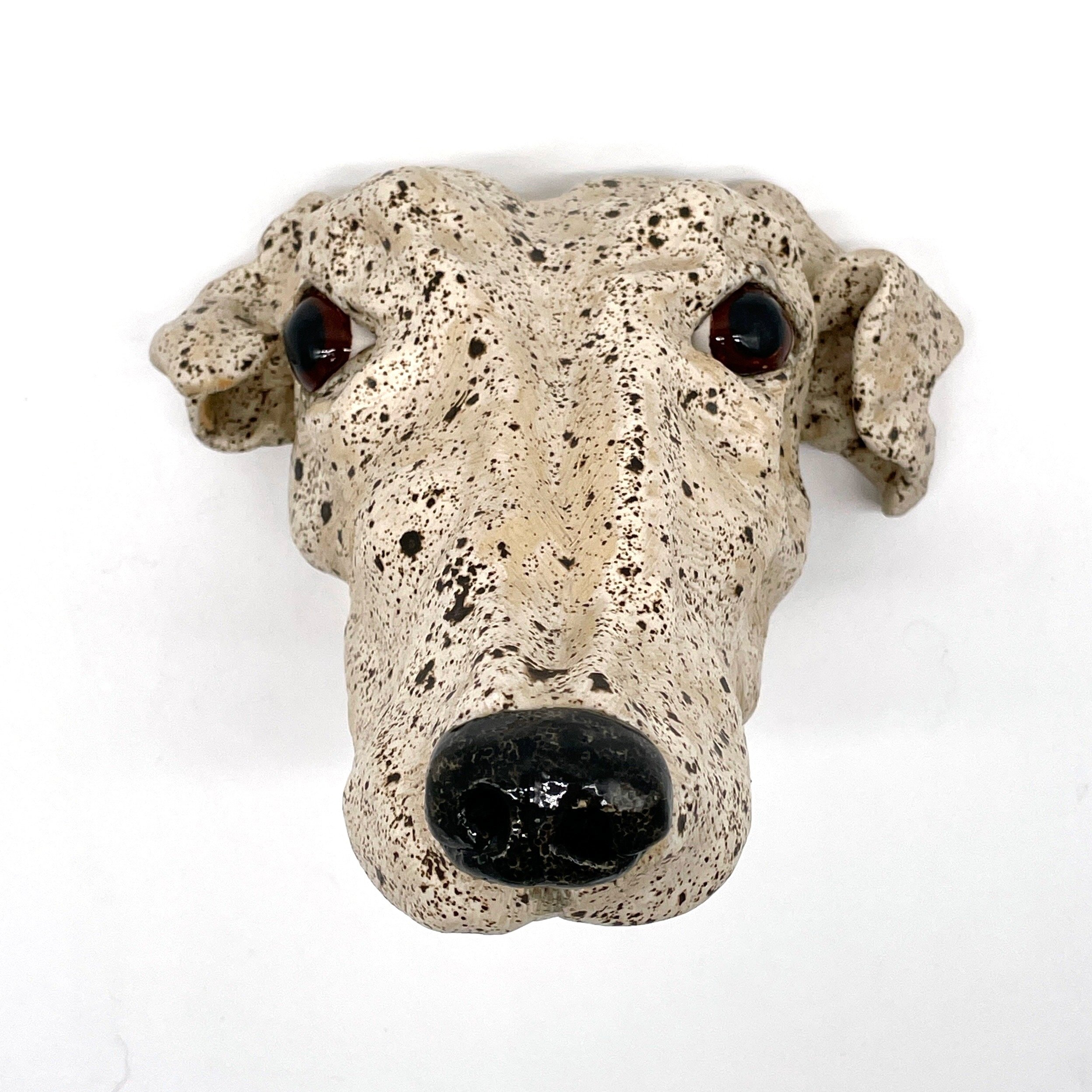 Whippet%231_1.jpg