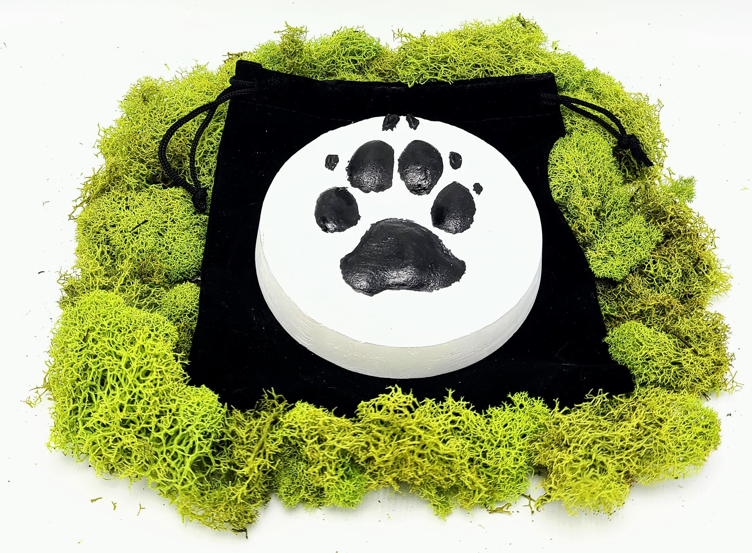 Please paint my paw print